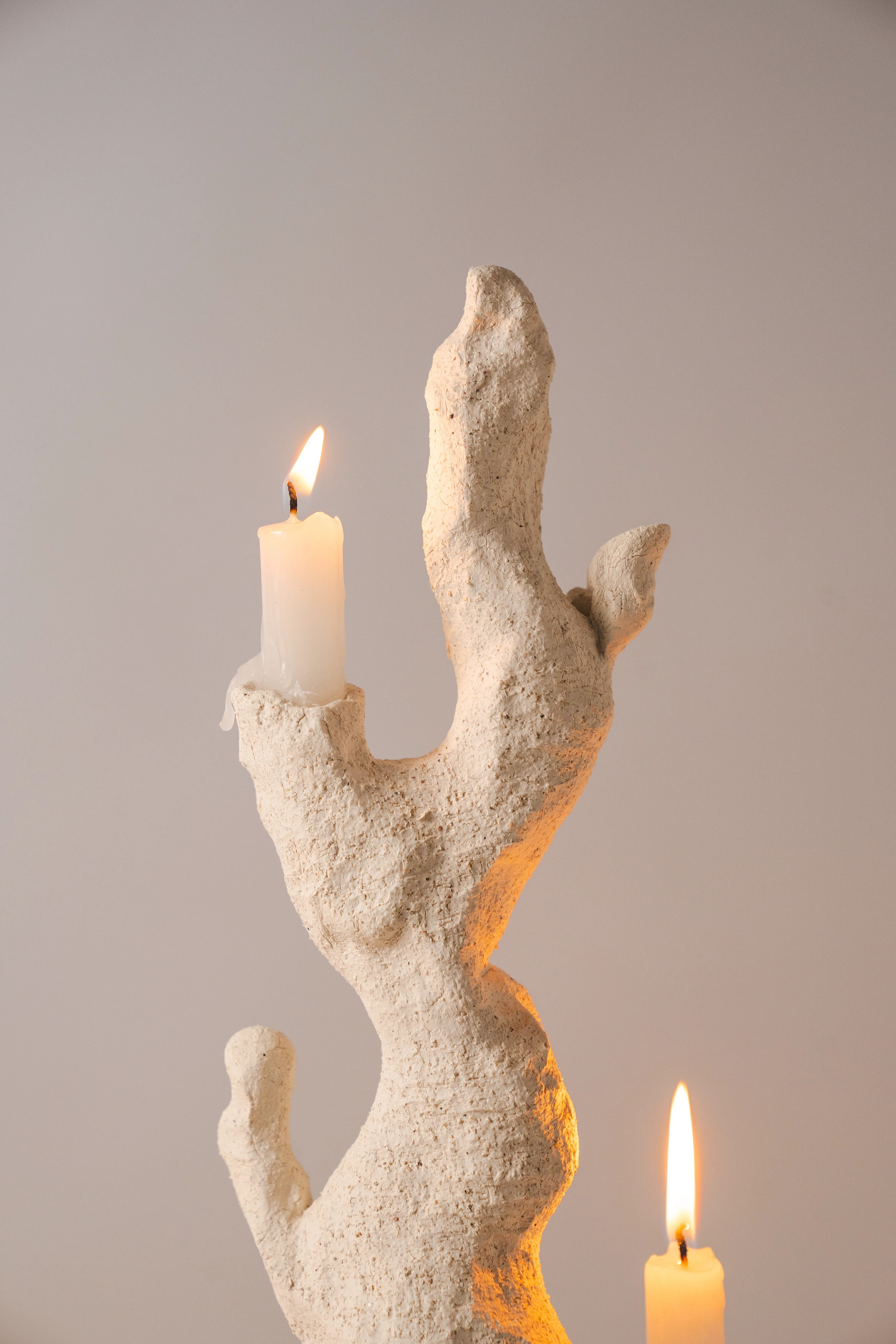 Coral，Pure white，environment protection，