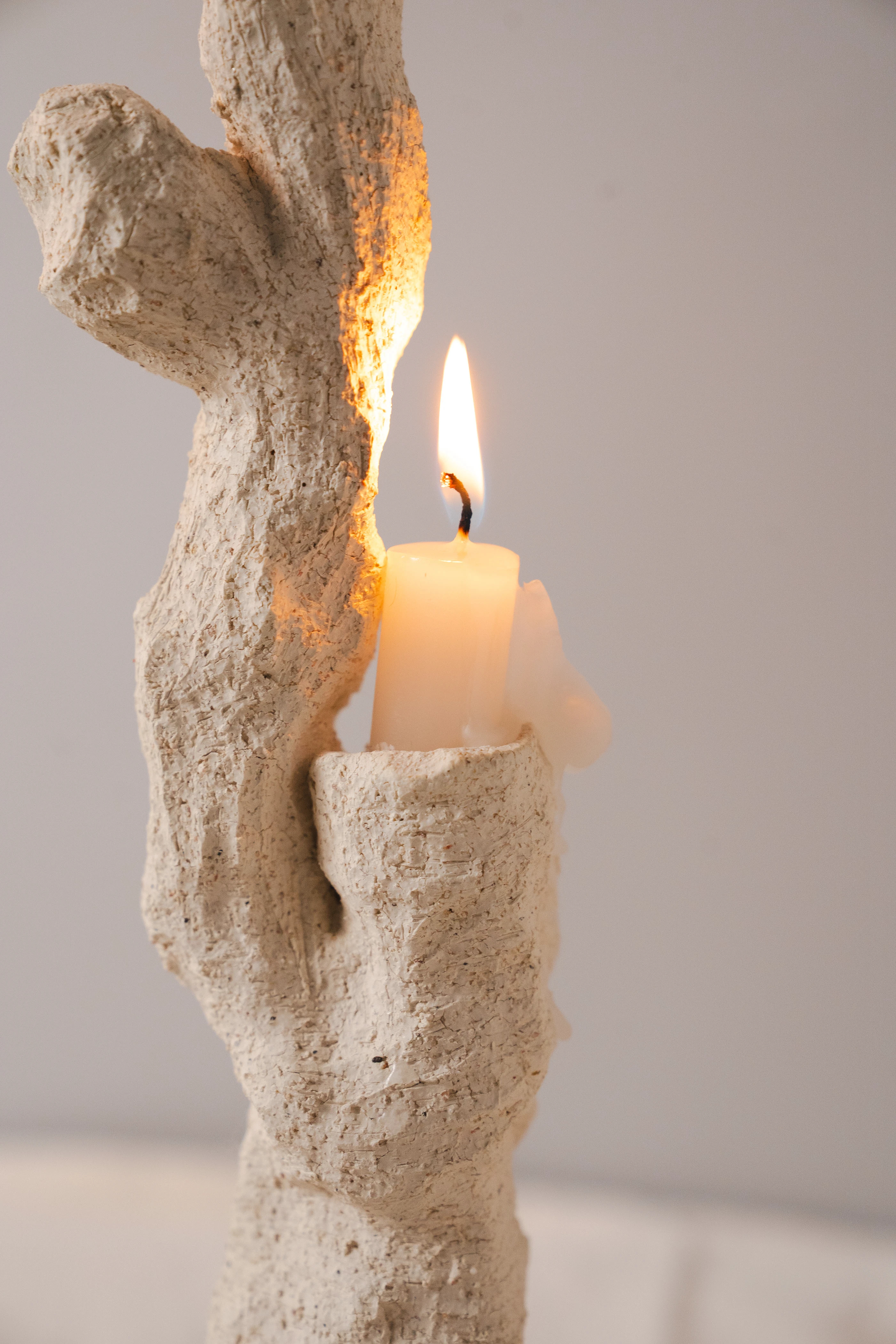 Coral，Pure white，environment protection，