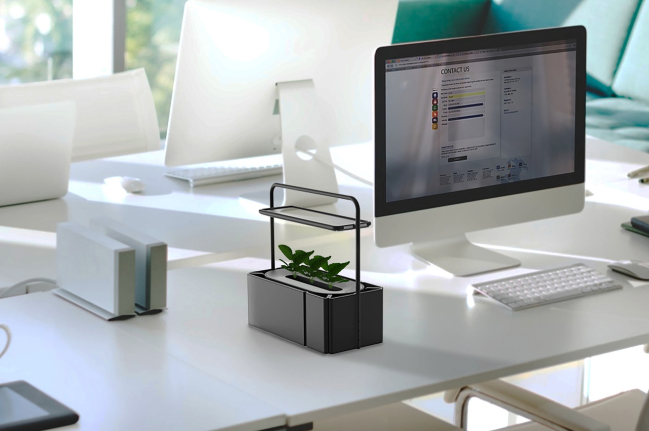 Hydroponics flower ，sensor，led，environment protection，