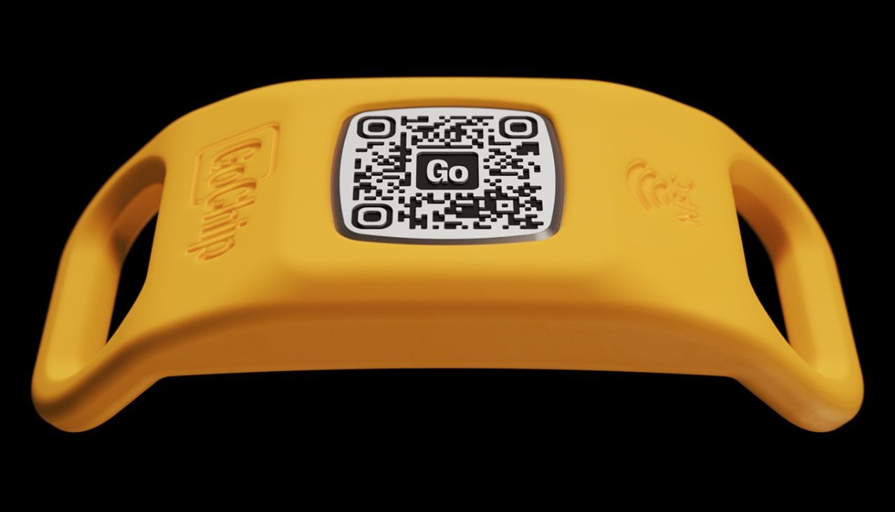 GoChip，sustainable，Pets，product design，