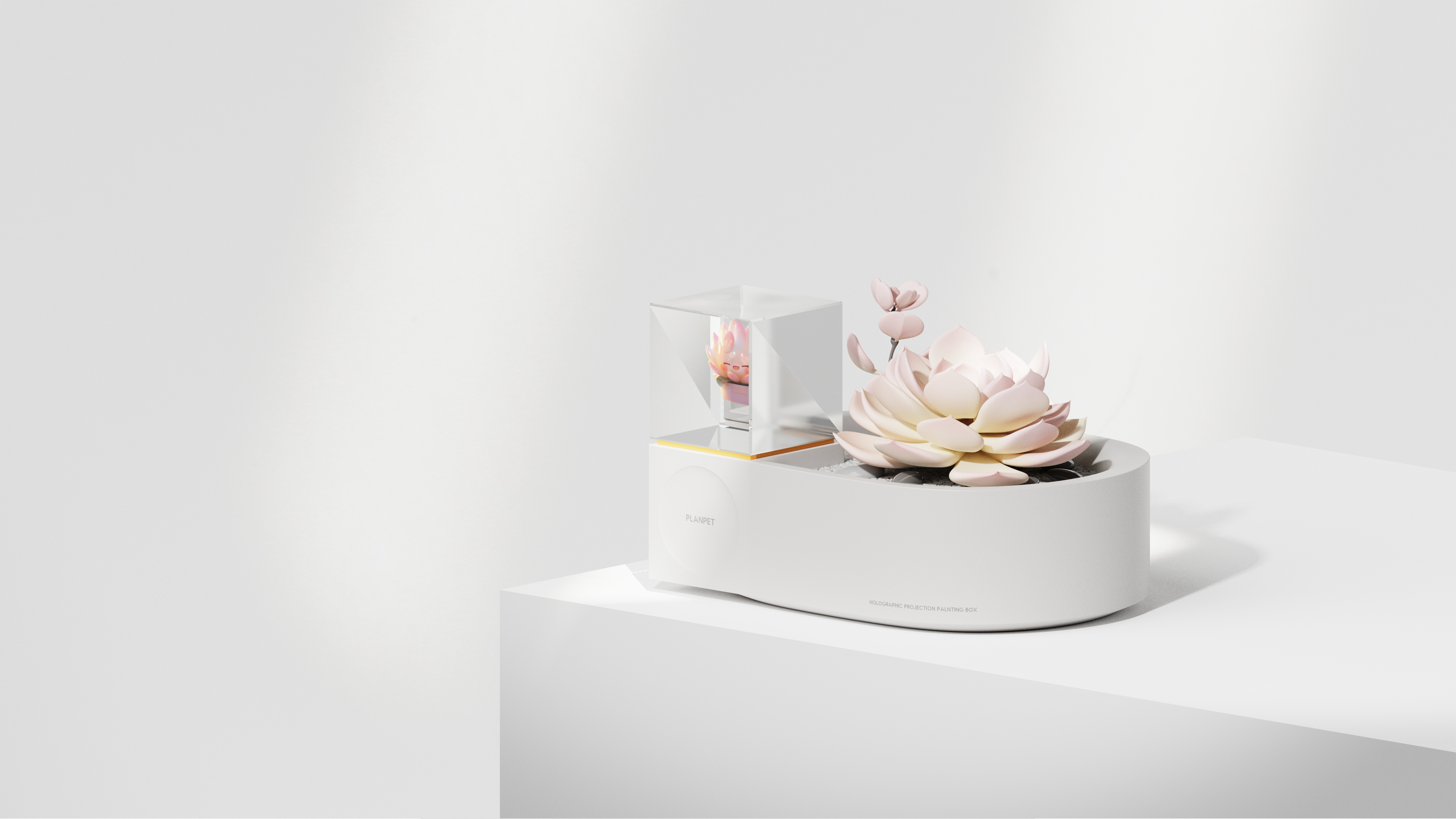 Botany，plant，Pets，curing，intelligence，Planting box，holographic，