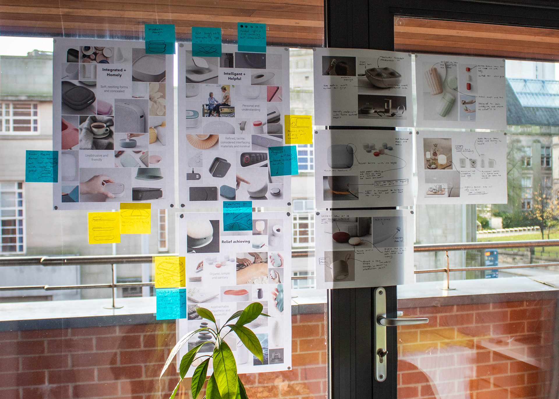 eden，sense of trust，pain relief，Health management，