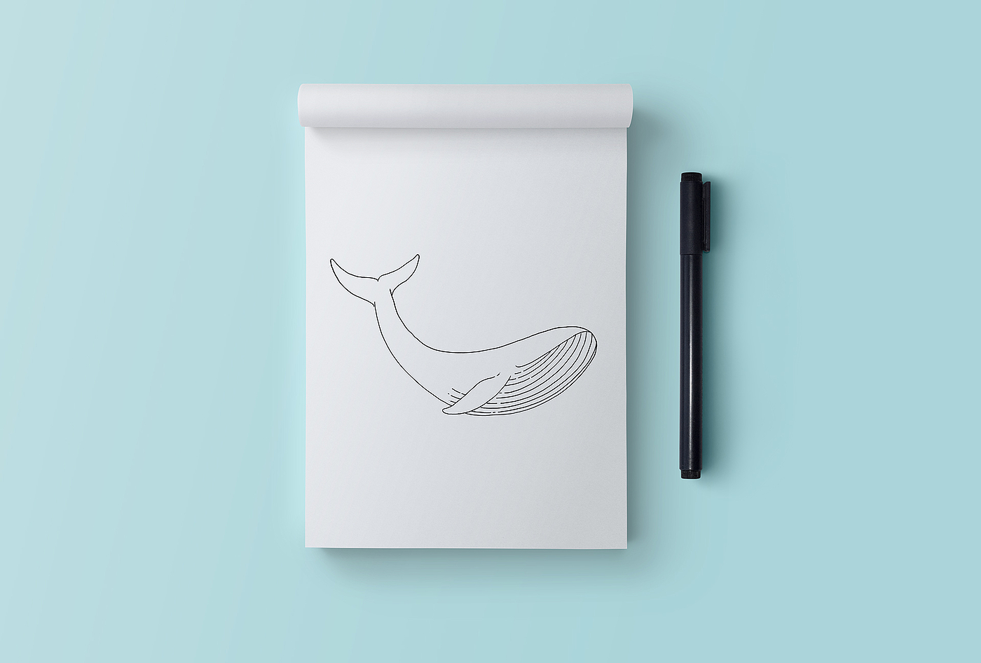 whale，Desktop computer，assemble，neat，