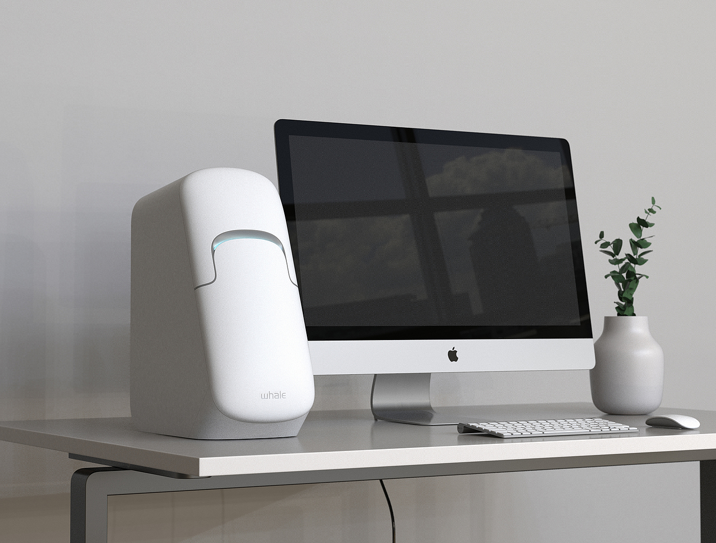 whale，Desktop computer，assemble，neat，