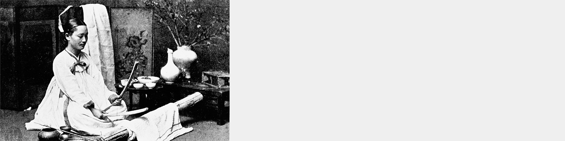 Double beater，Textile，Vacuum cleaner，