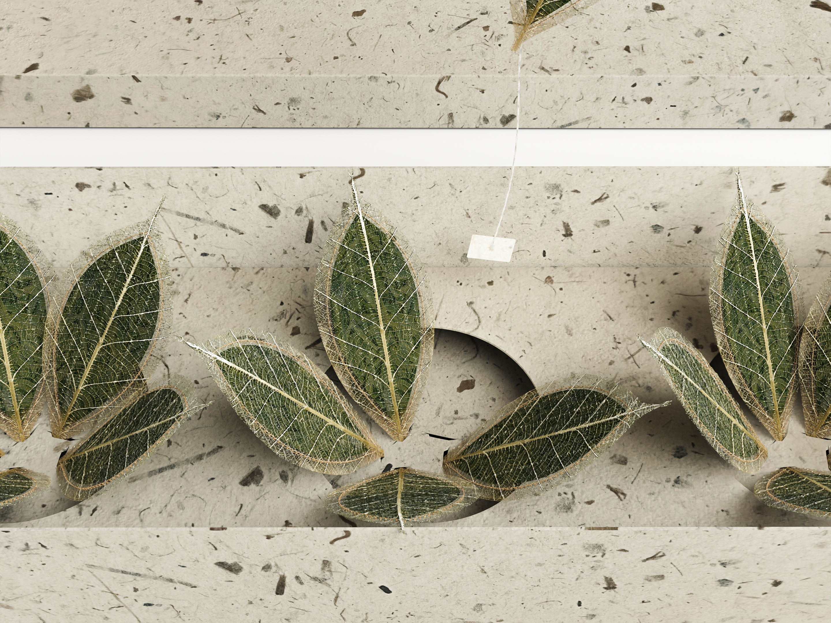 packing design，drink，