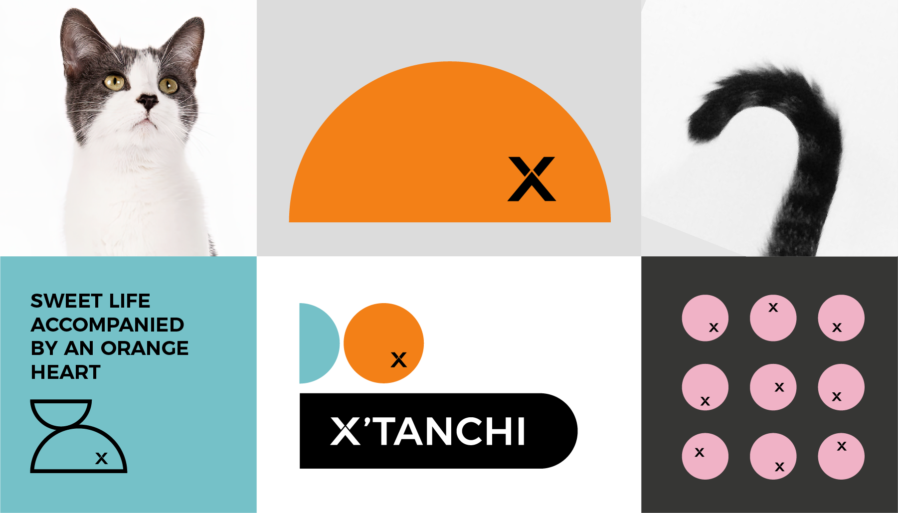 Brand design，Brand upgrade，Pet brand，Logo design，VI design，