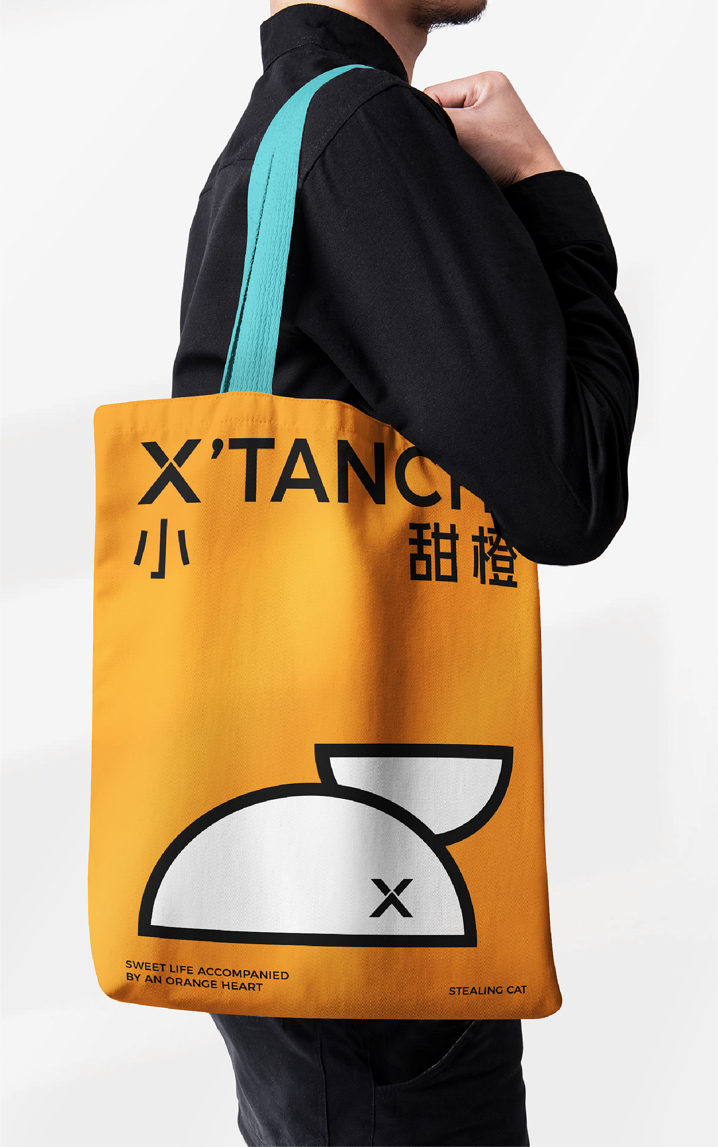 Brand design，Brand upgrade，Pet brand，Logo design，VI design，