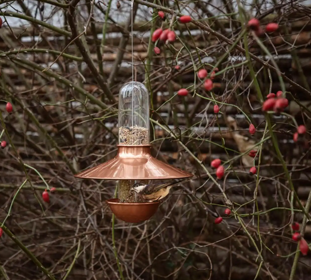 product design，courtyard，