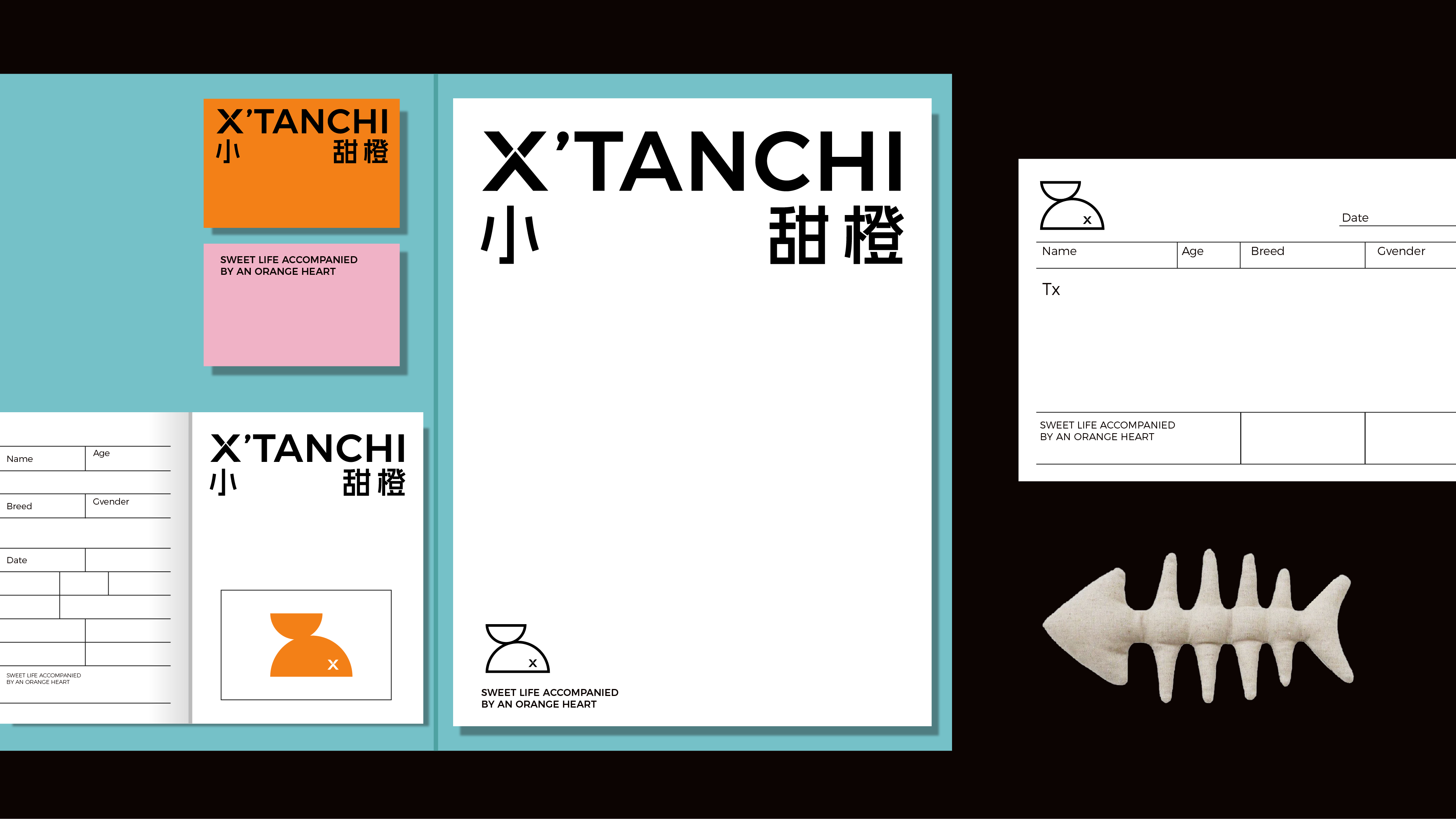 Brand design，Brand upgrade，Pet brand，Logo design，VI design，