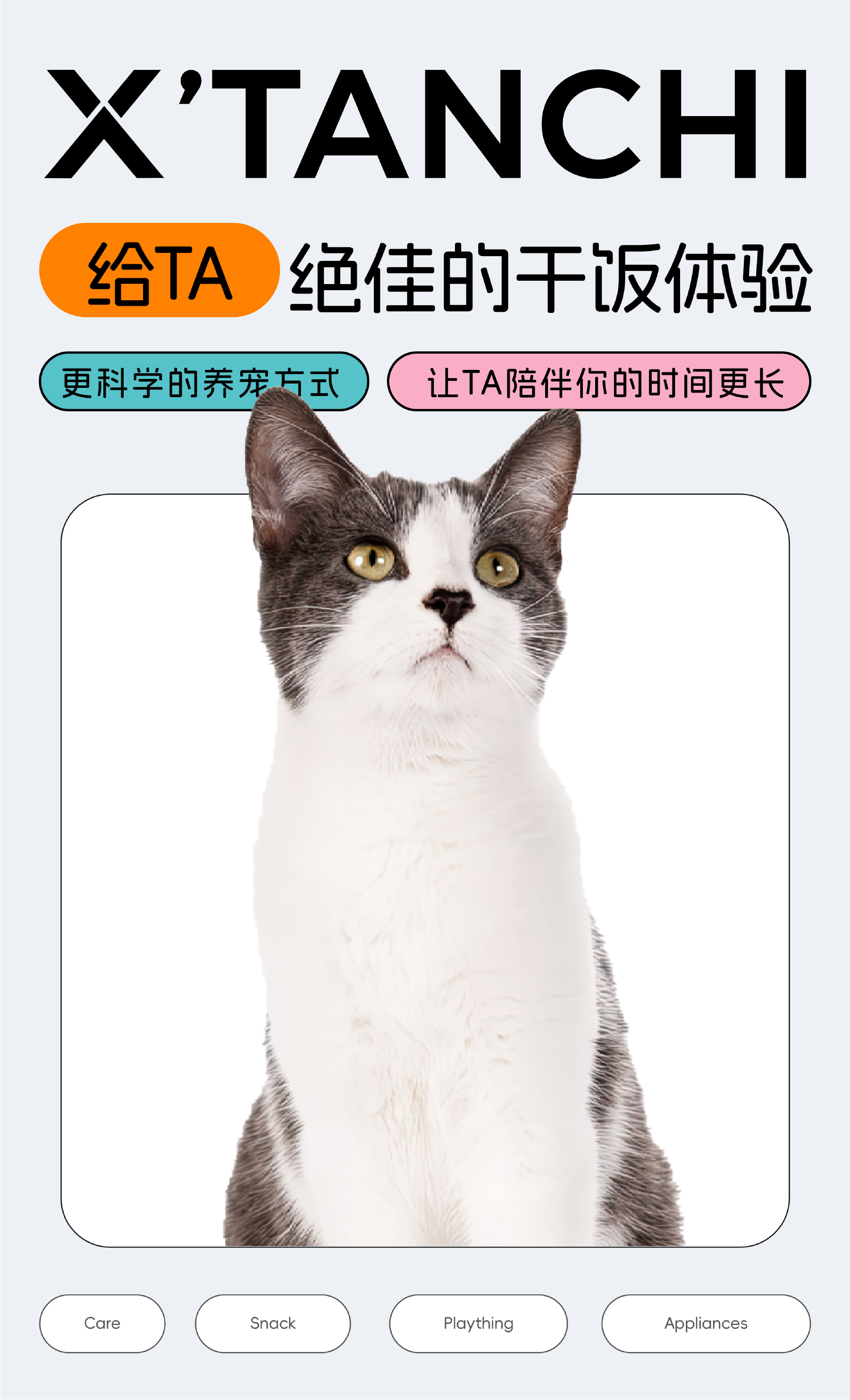 Brand design，Brand upgrade，Pet brand，Logo design，VI design，