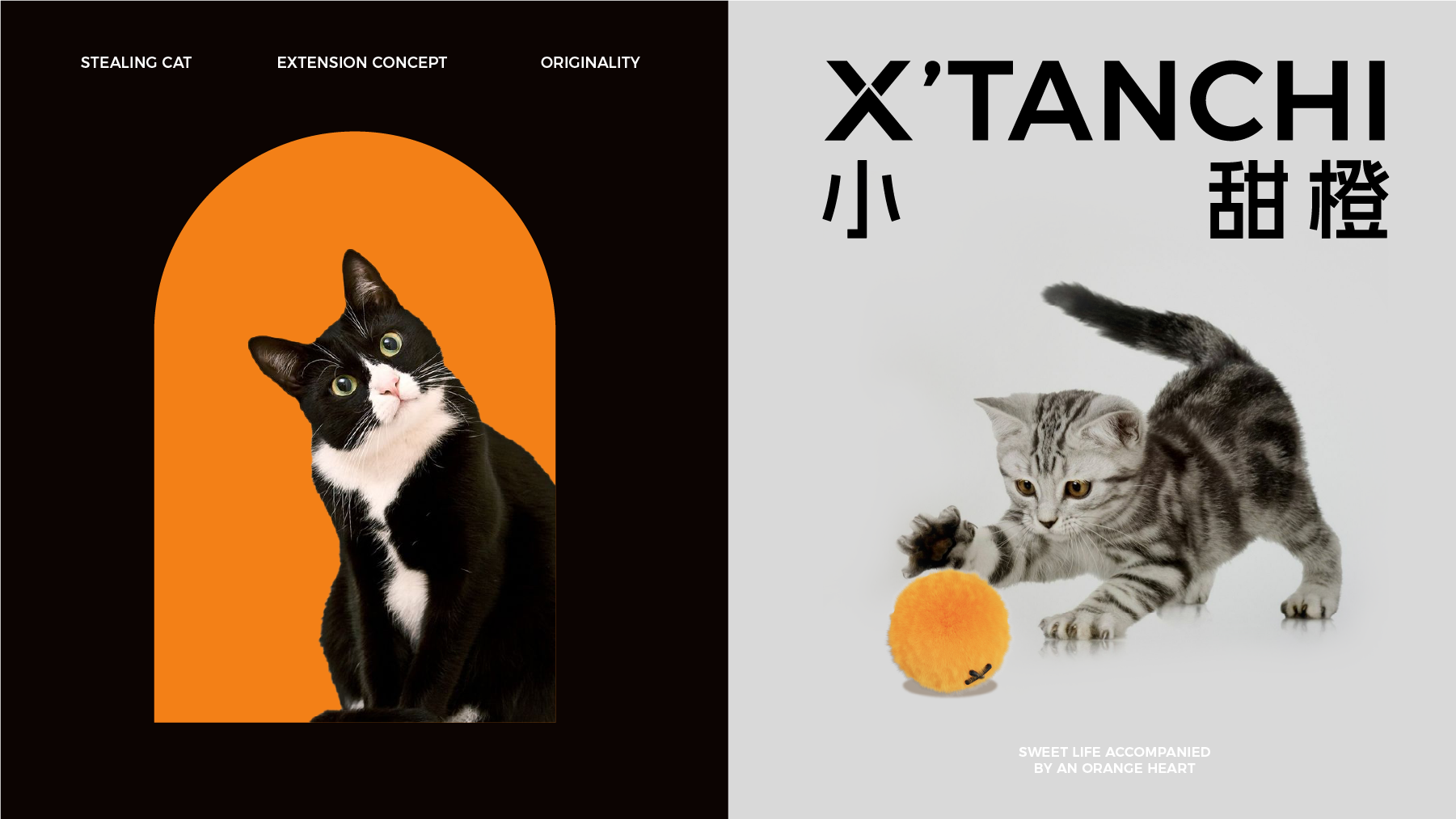 Brand design，Brand upgrade，Pet brand，Logo design，VI design，