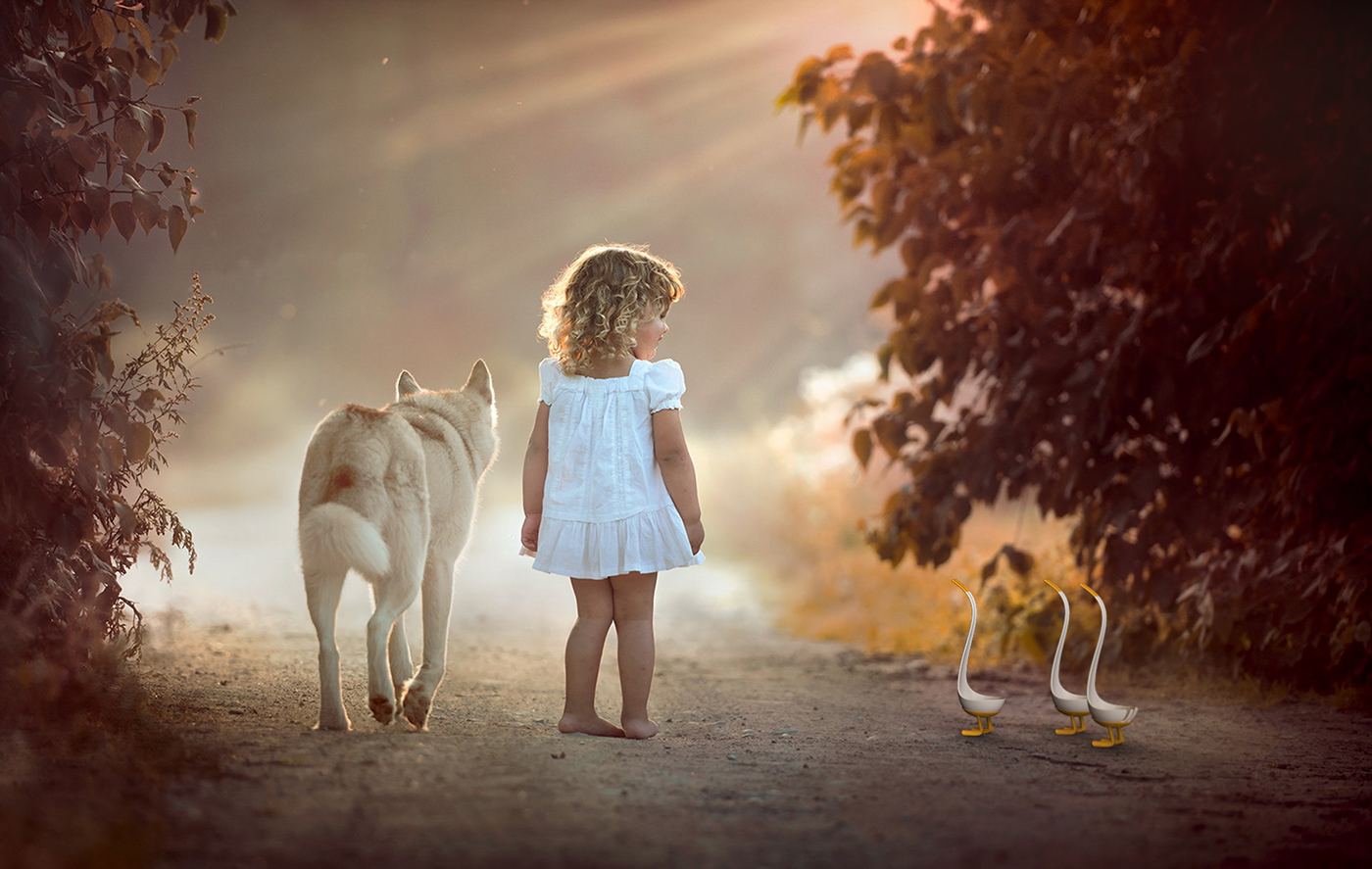 Bird ladle，Tableware design，Bionics Design ，