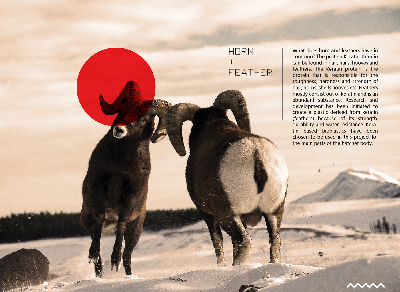 tool，product design，industrial design，axe，