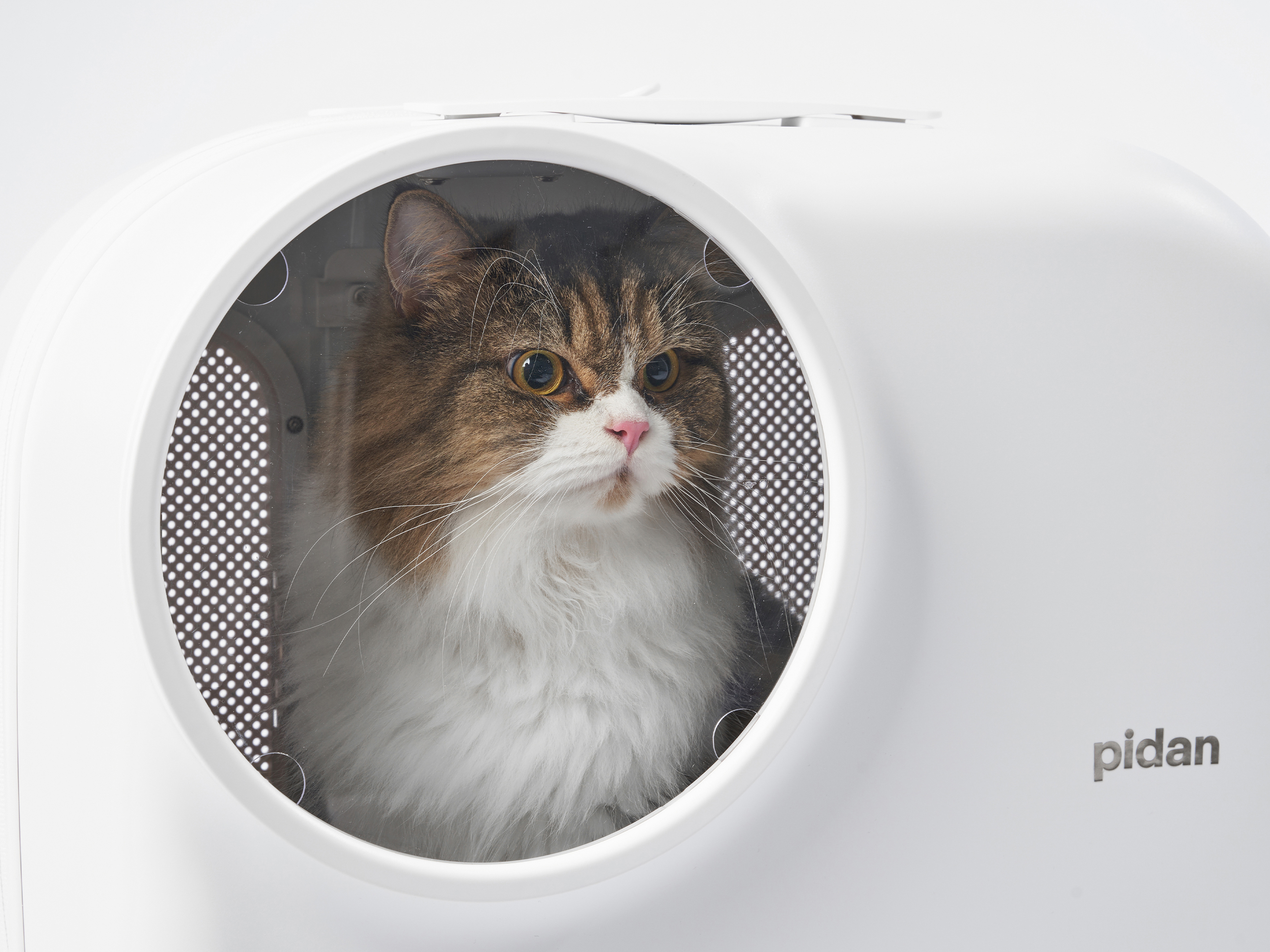 product design，leisure time，