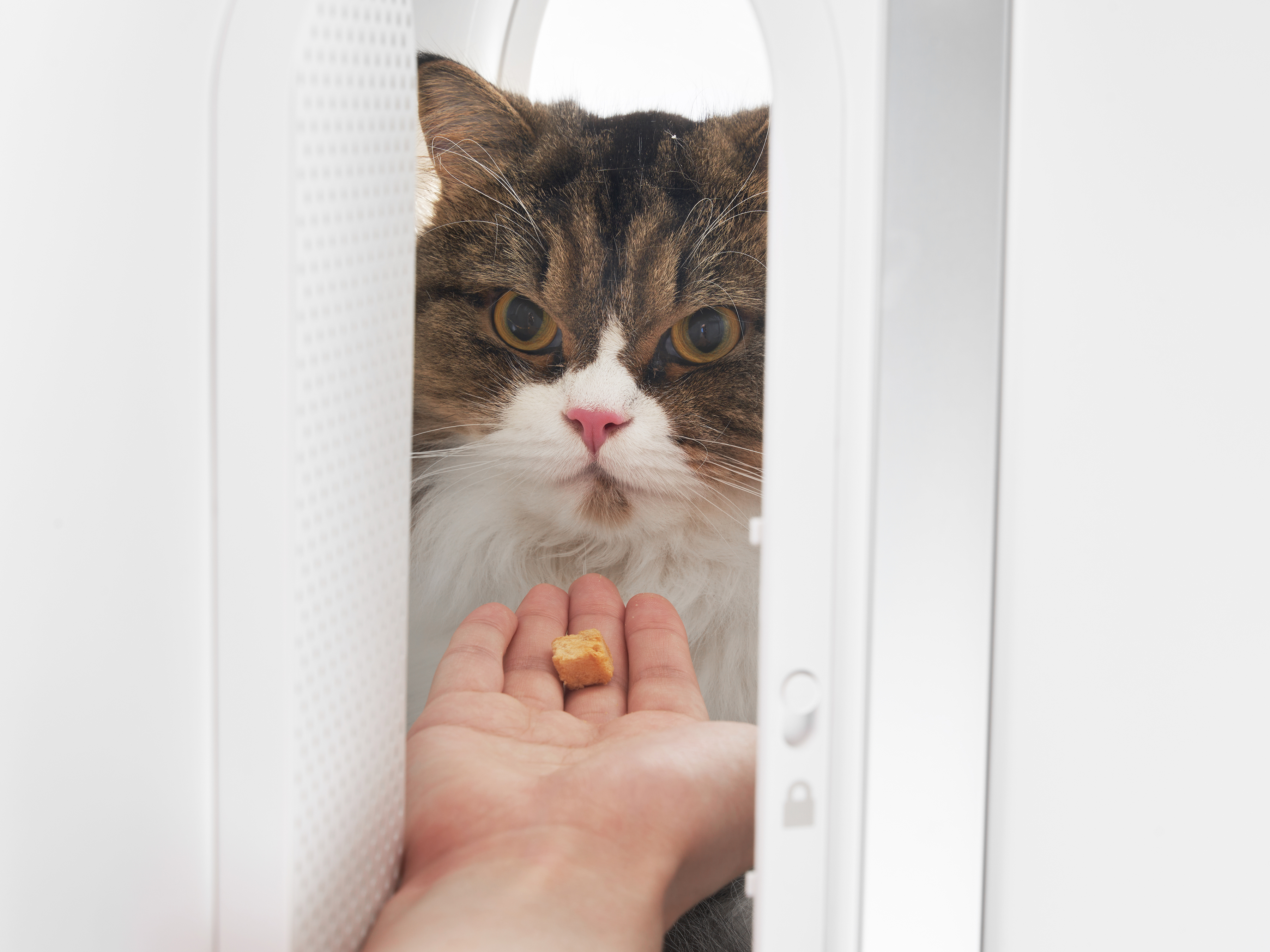 product design，leisure time，