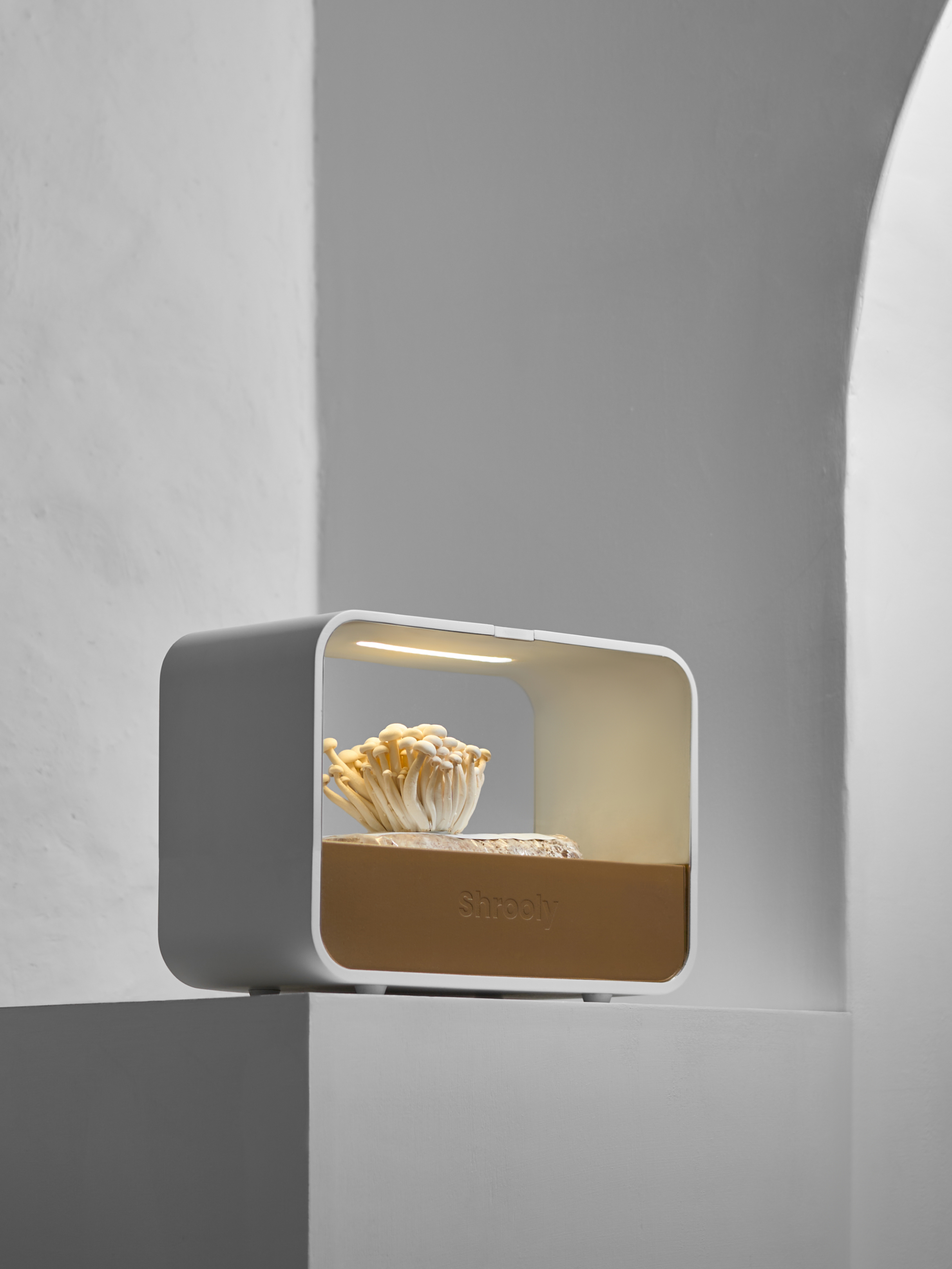 product design，Home/tableware，