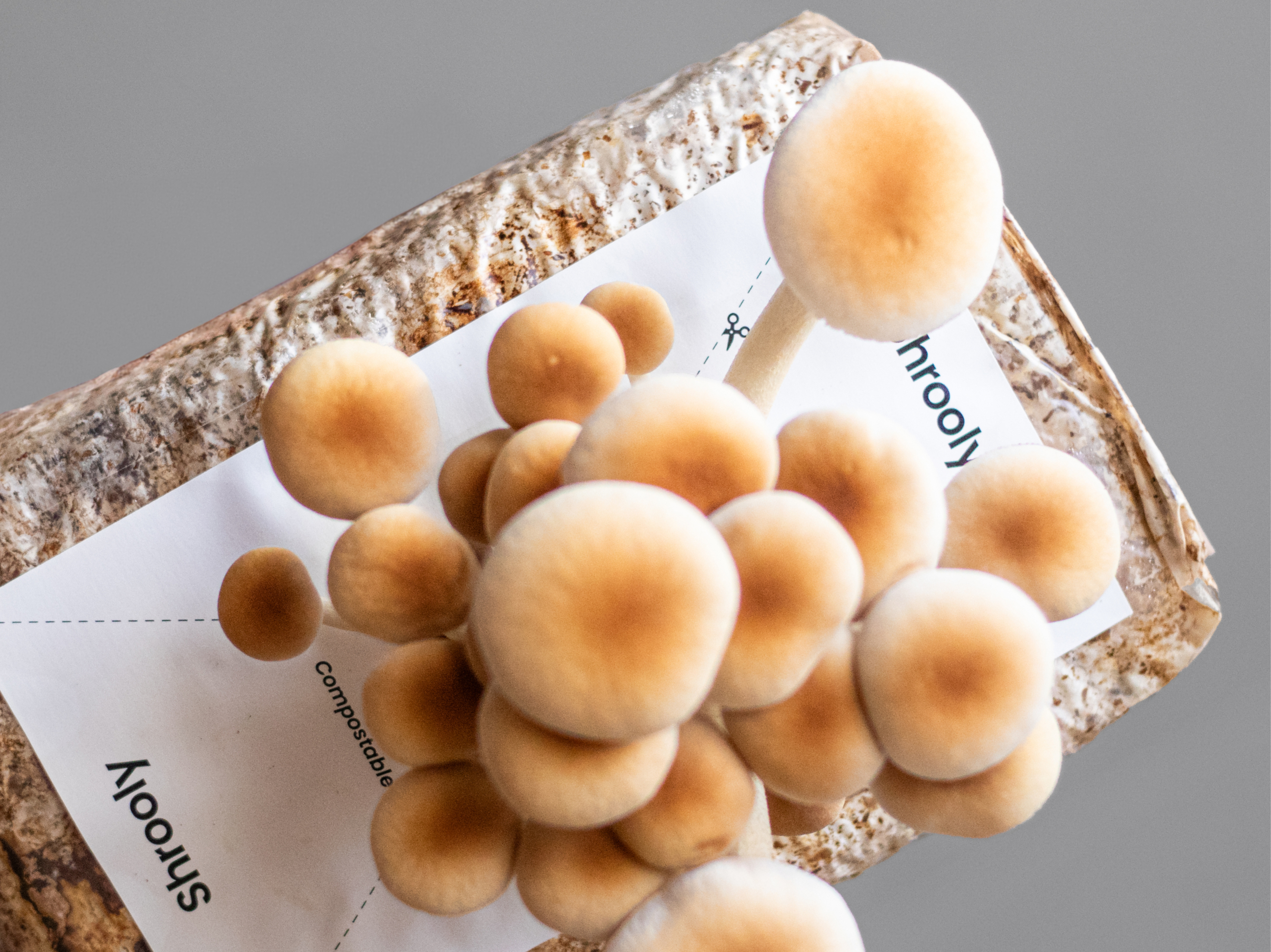 product design，Home/tableware，