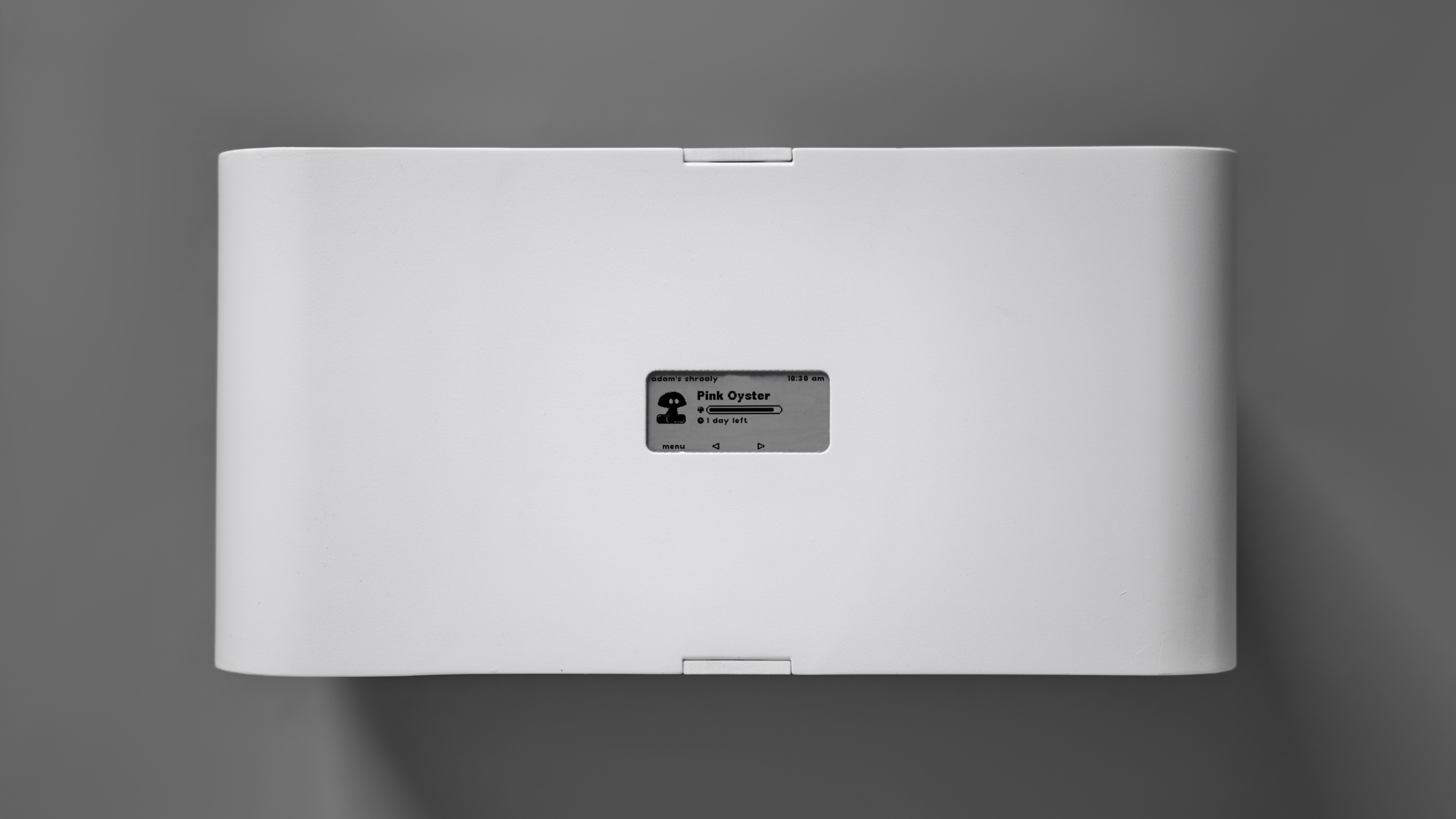 product design，Home/tableware，