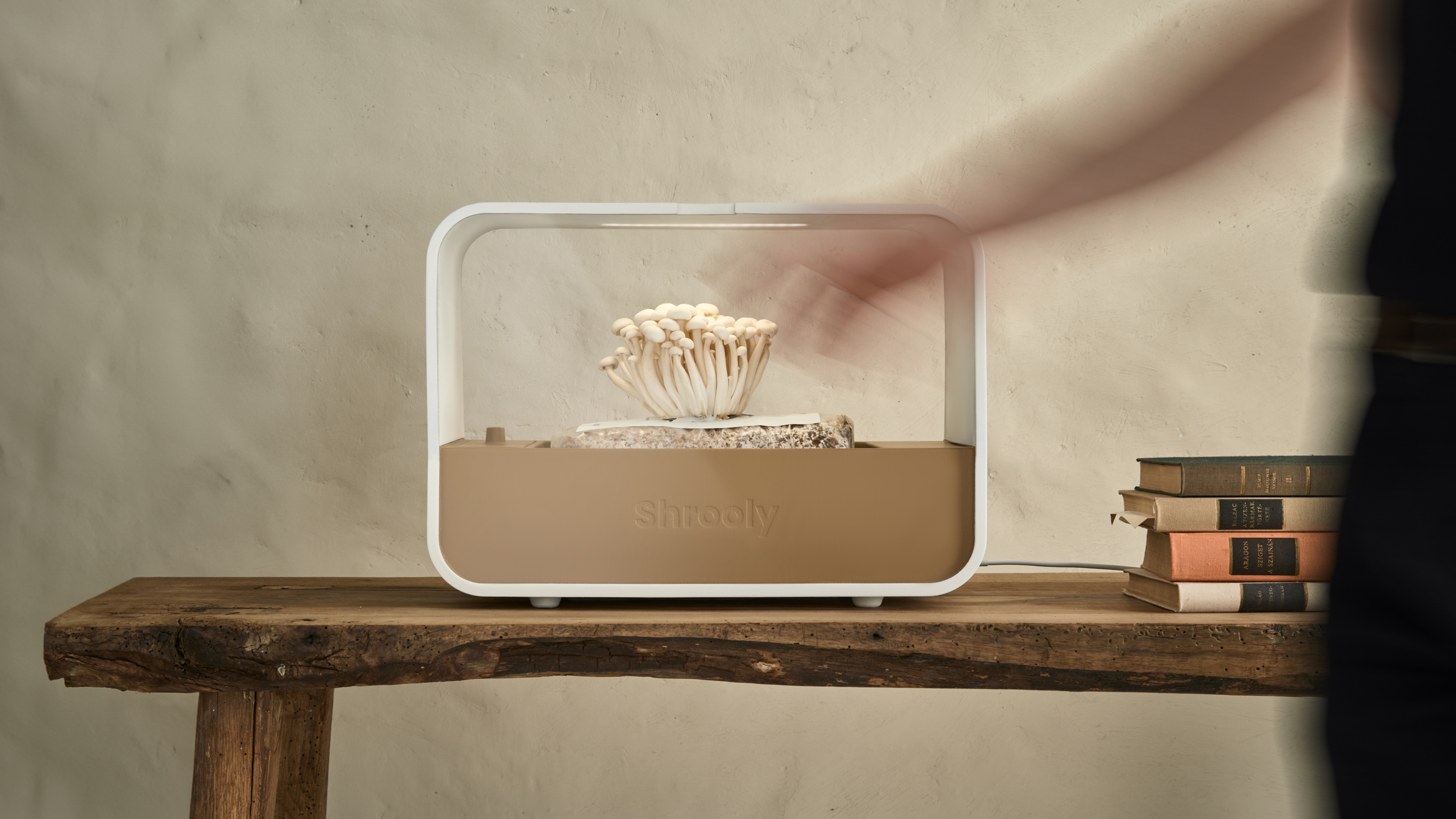 product design，Home/tableware，