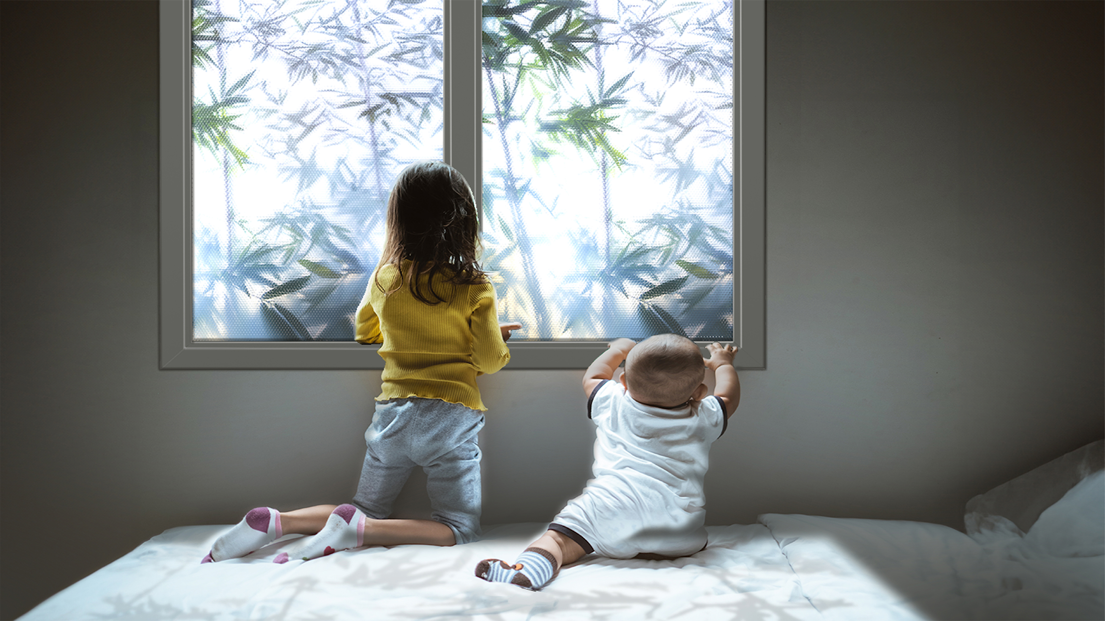 Professional concept，Product concept，