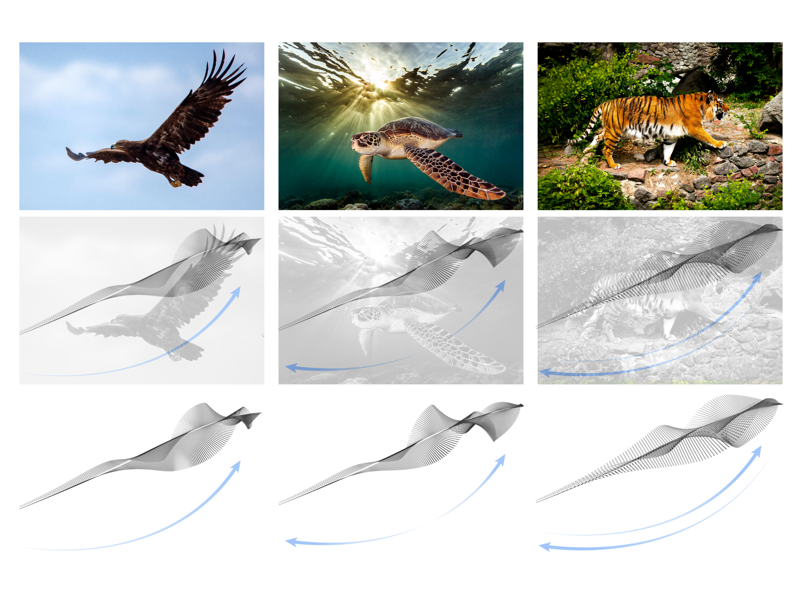 Interior design，Installments and Facilities，