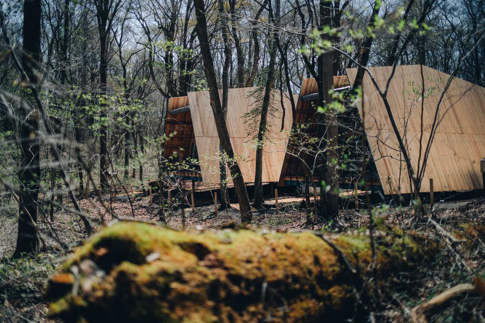 Architectural design，Commercial retail/sightseeing and leisure，