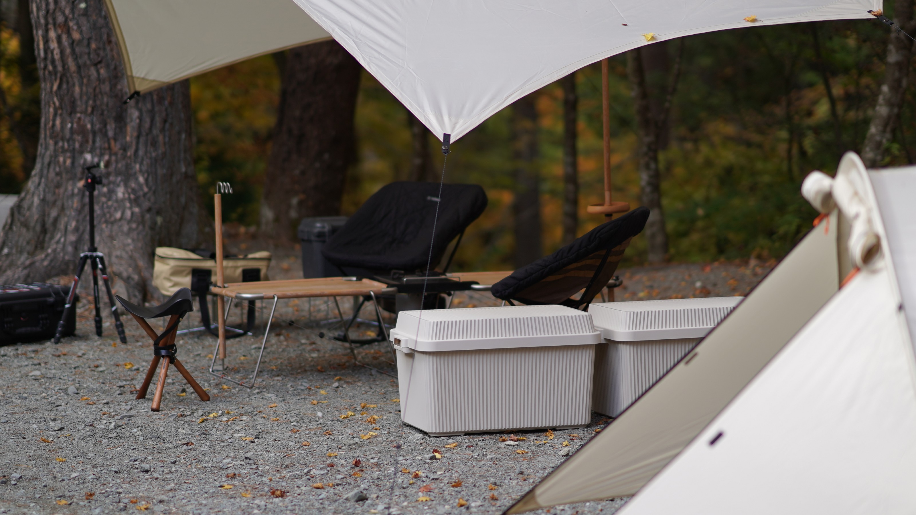 product design，Home/tableware，