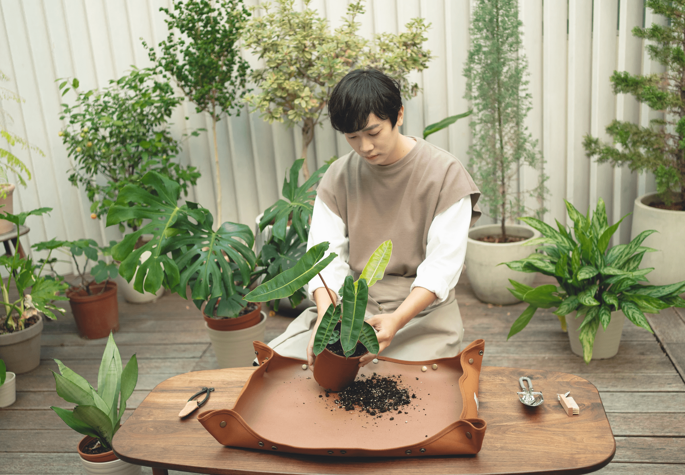 product design，leisure time，