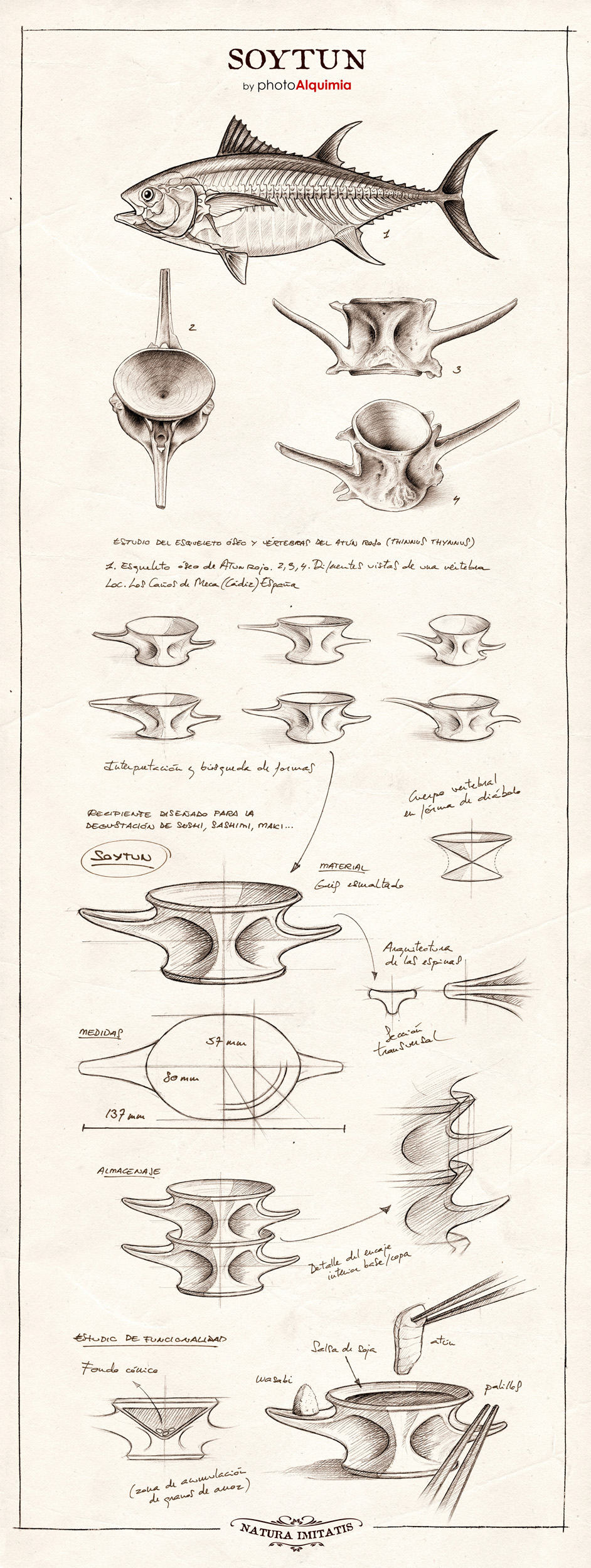 packing design，inspiration source，Hand drawing，Soy sauce tray，Disc design，Porcelain，Bionics Design ，Fishbone，