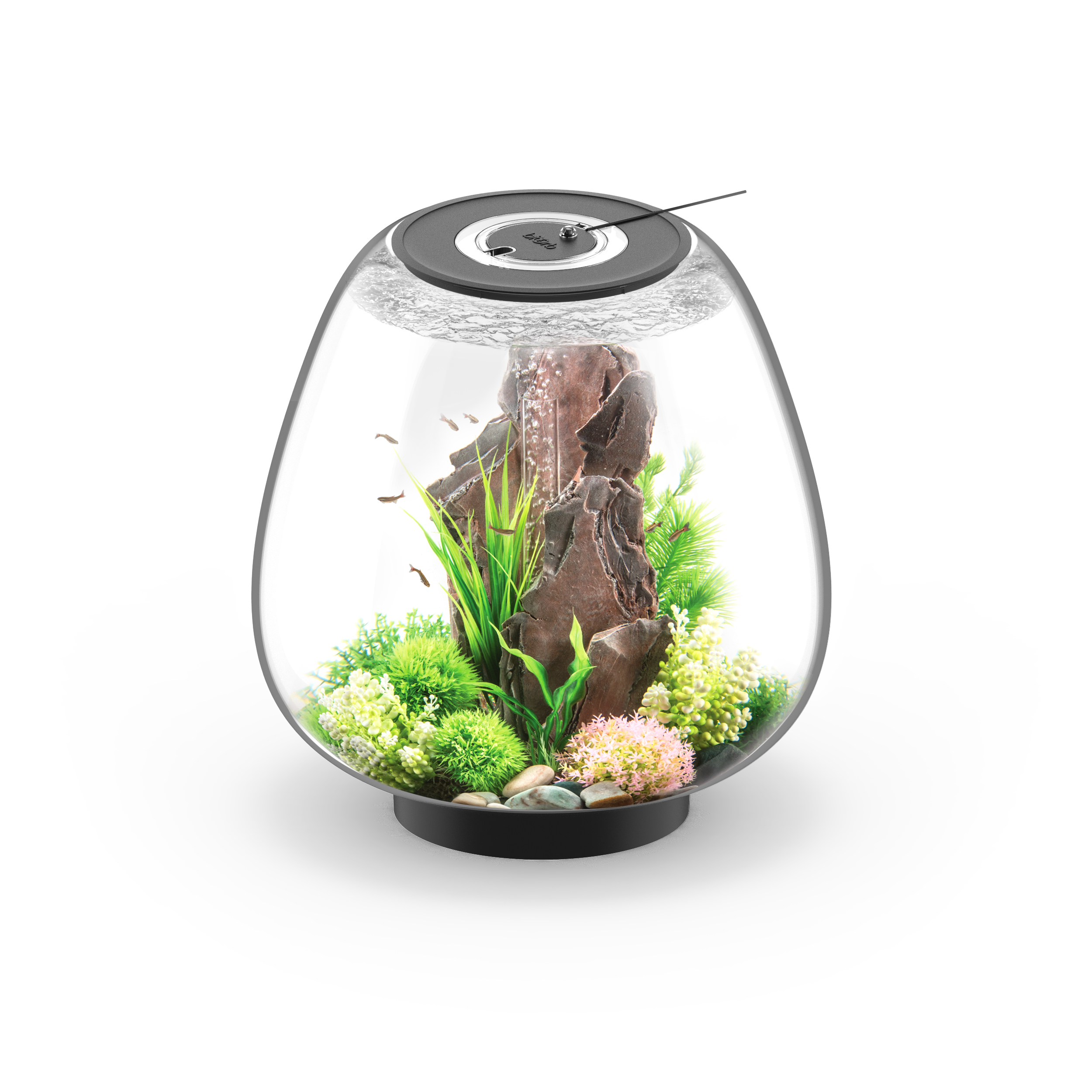 product design，leisure time，