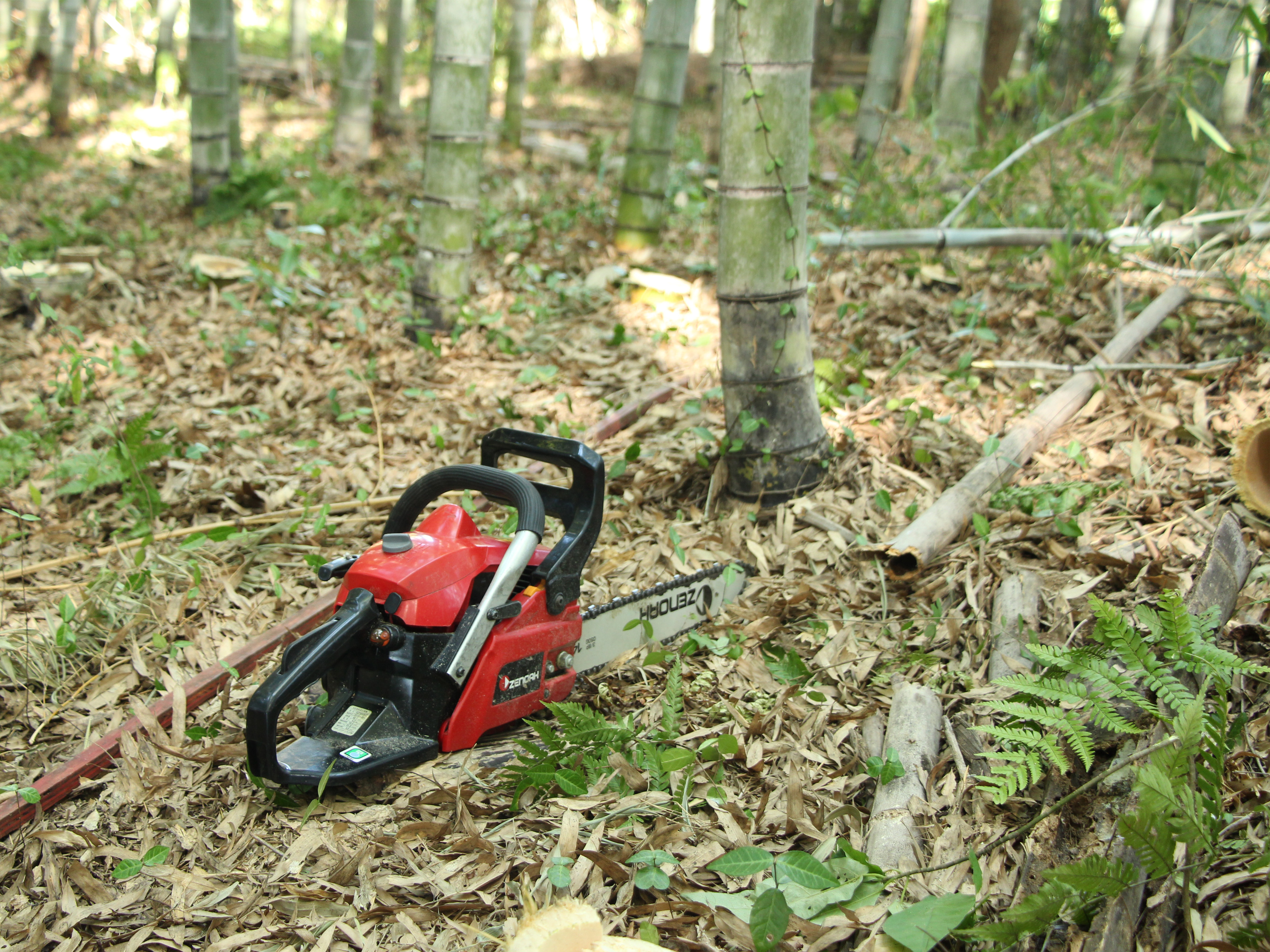 product design，Furniture/Home Decoration，