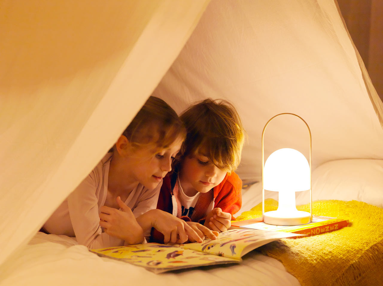 lamp，lamps and lanterns，portable，Portable，wood，Northern Europe，