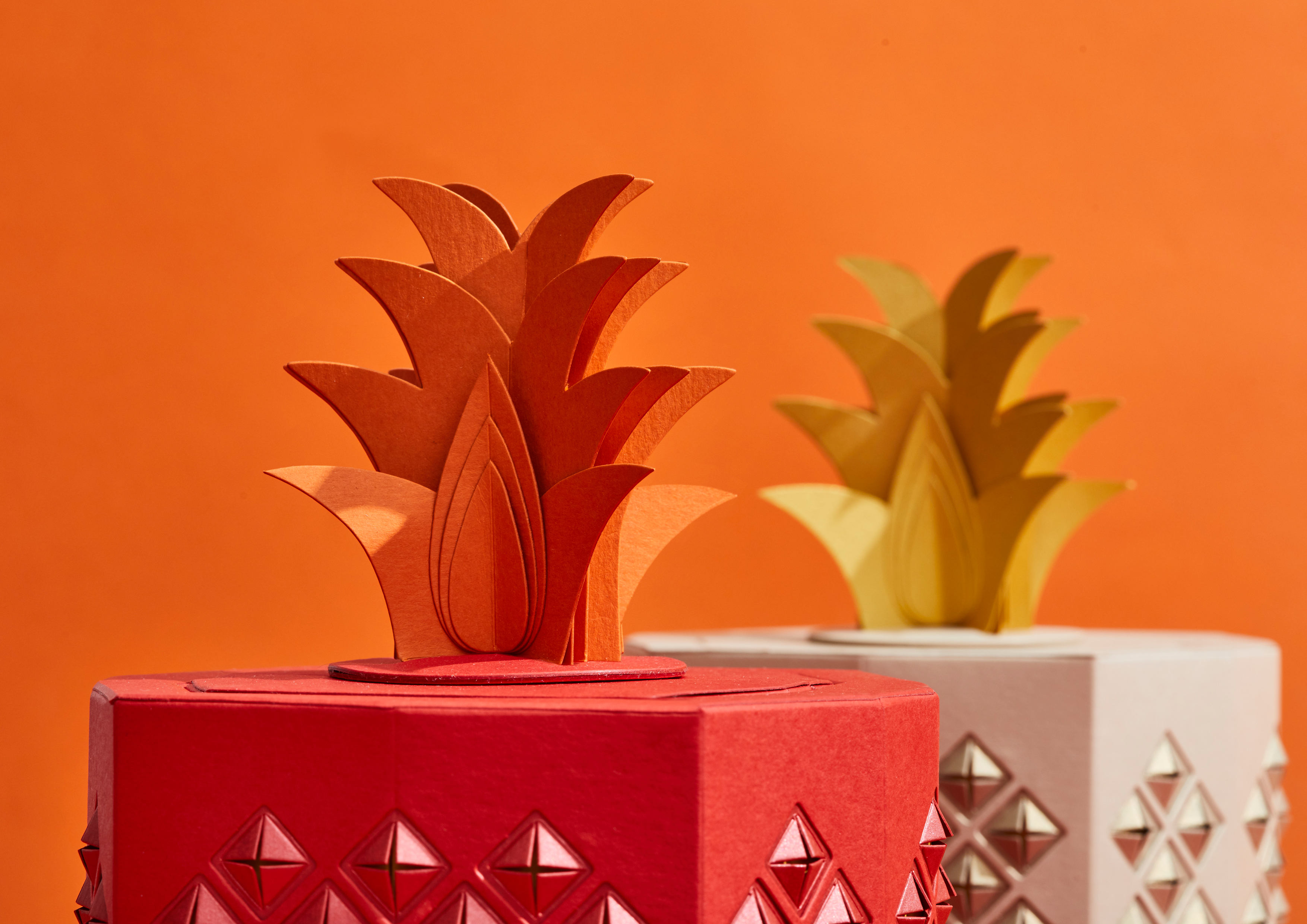 packing design，food，