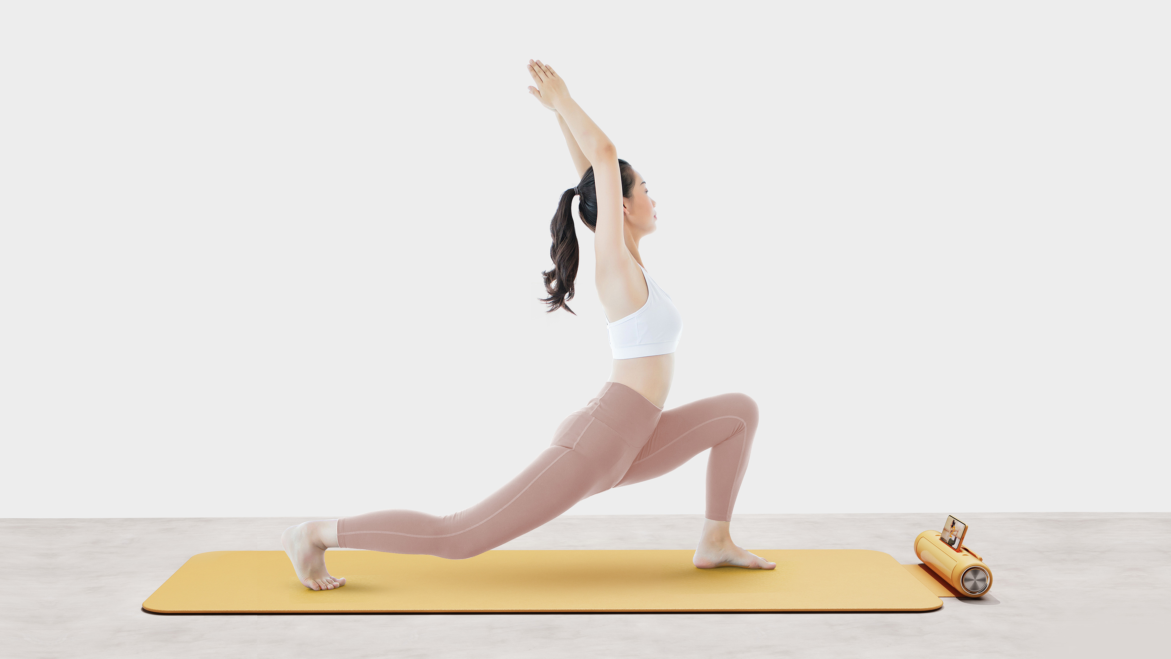 Professional concept，Product concept，