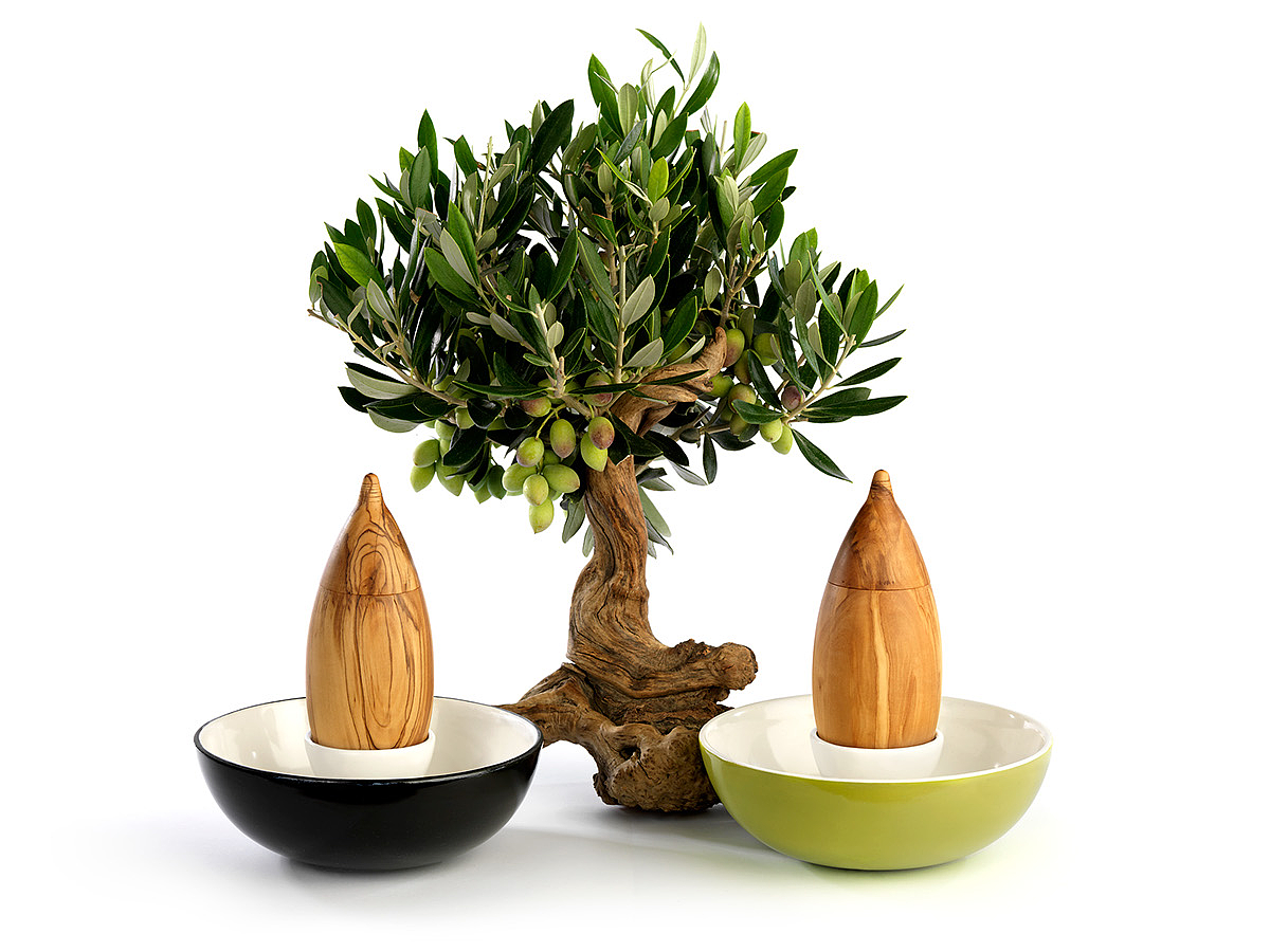olive，Bionics Design ，Fruit tray，Olive wood，Garbage collection，Porcelain and wood，bowl，container，Cylindrical design，