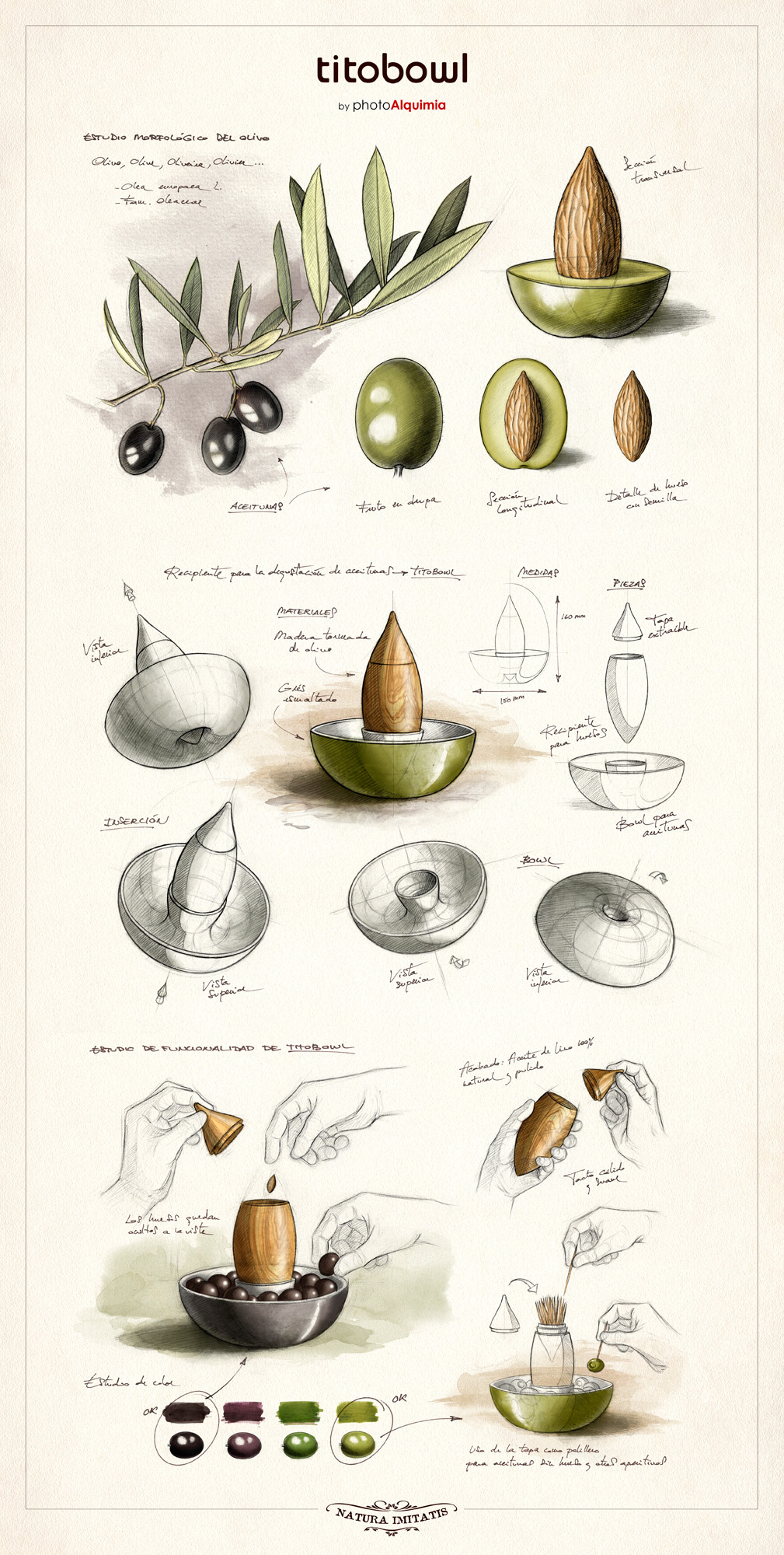 olive，Bionics Design ，Fruit tray，Olive wood，Garbage collection，Porcelain and wood，bowl，container，Cylindrical design，