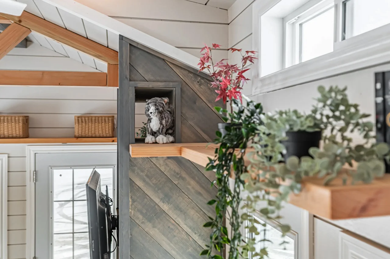 house，Micro house，Design，Architecture，design，