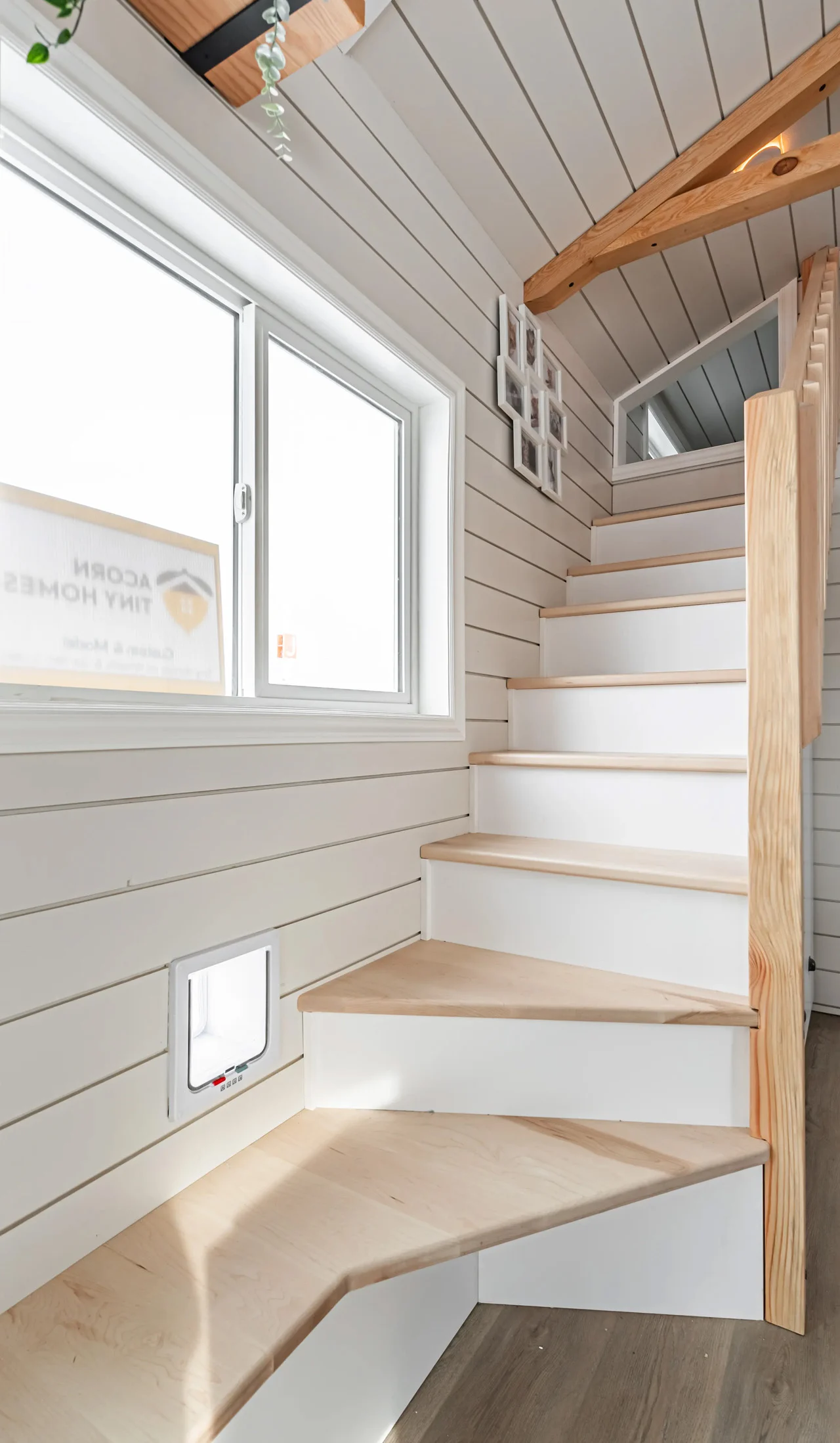 house，Micro house，Design，Architecture，design，