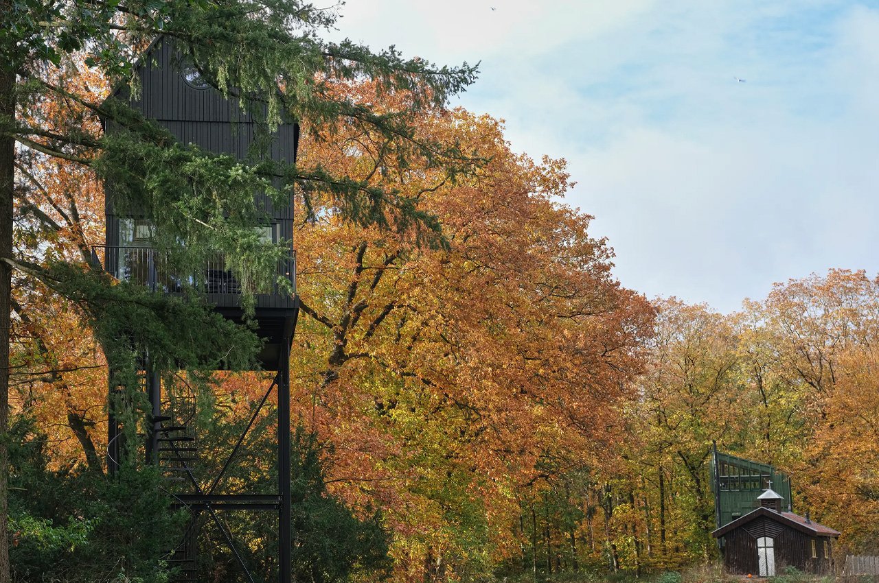 Wooden house，on vacation，aviary，