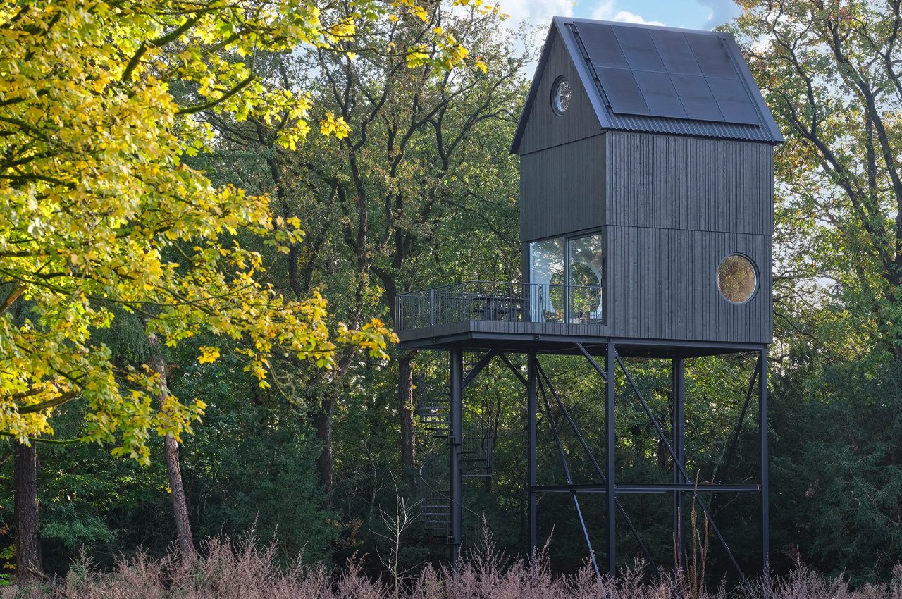 Wooden house，on vacation，aviary，