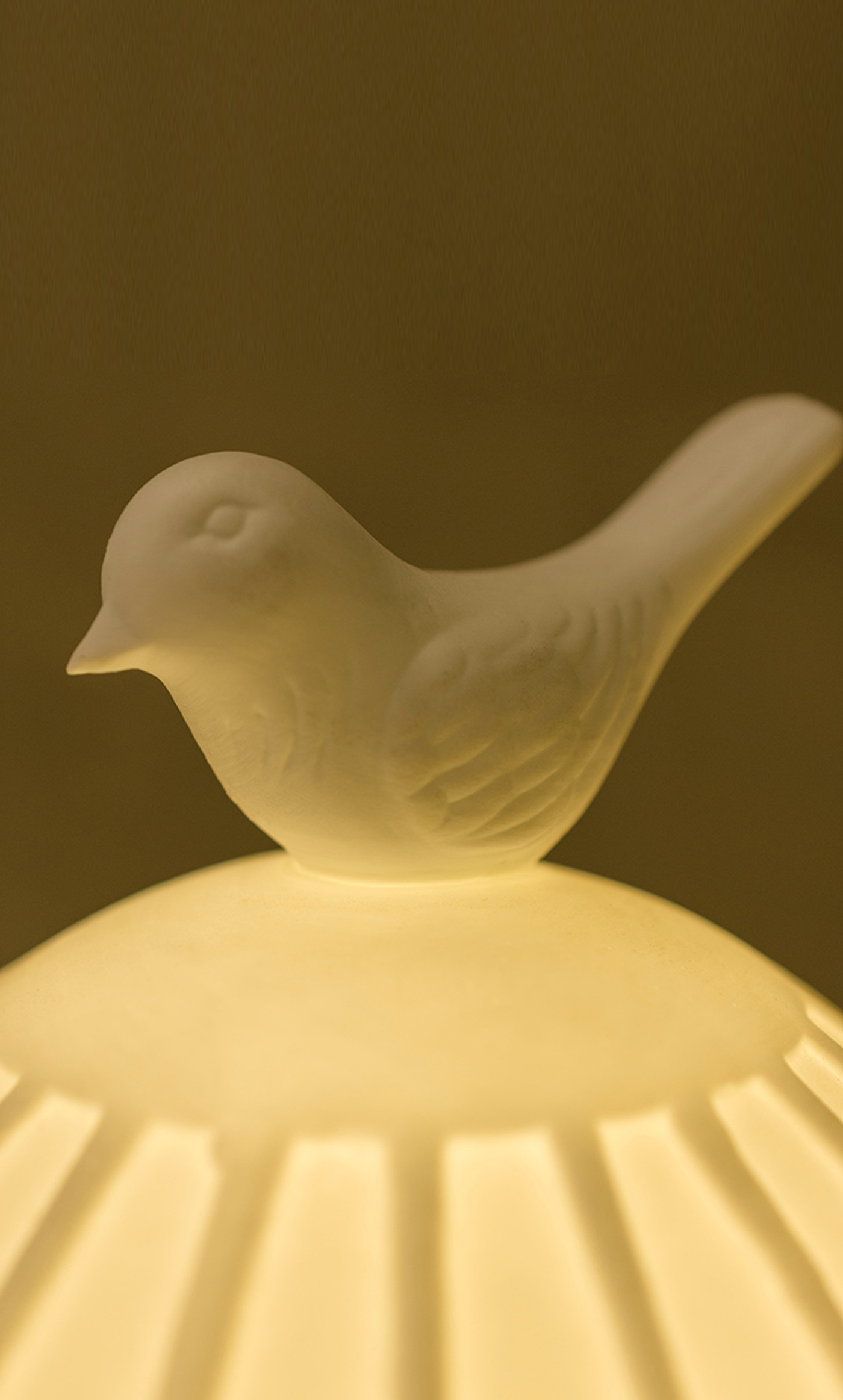 cozy，Night light，Chinese style，Golden bird cage，Little bird，