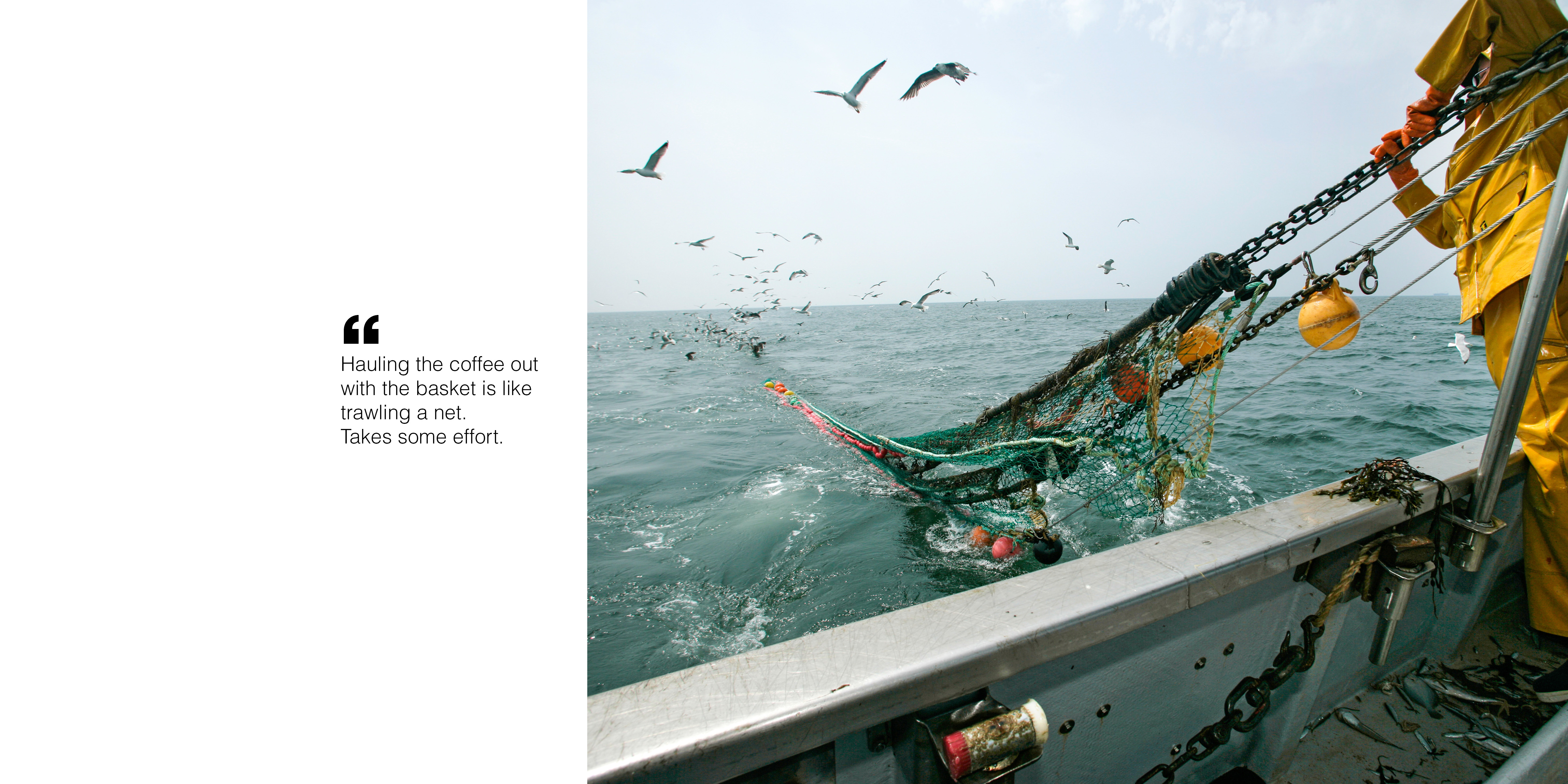 French Press，Coffee machine，machine，