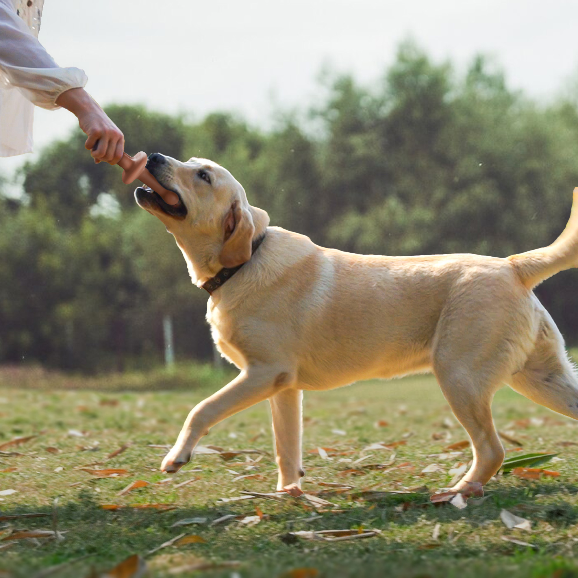 dog chew toy, strong chew, bone, dog toy，