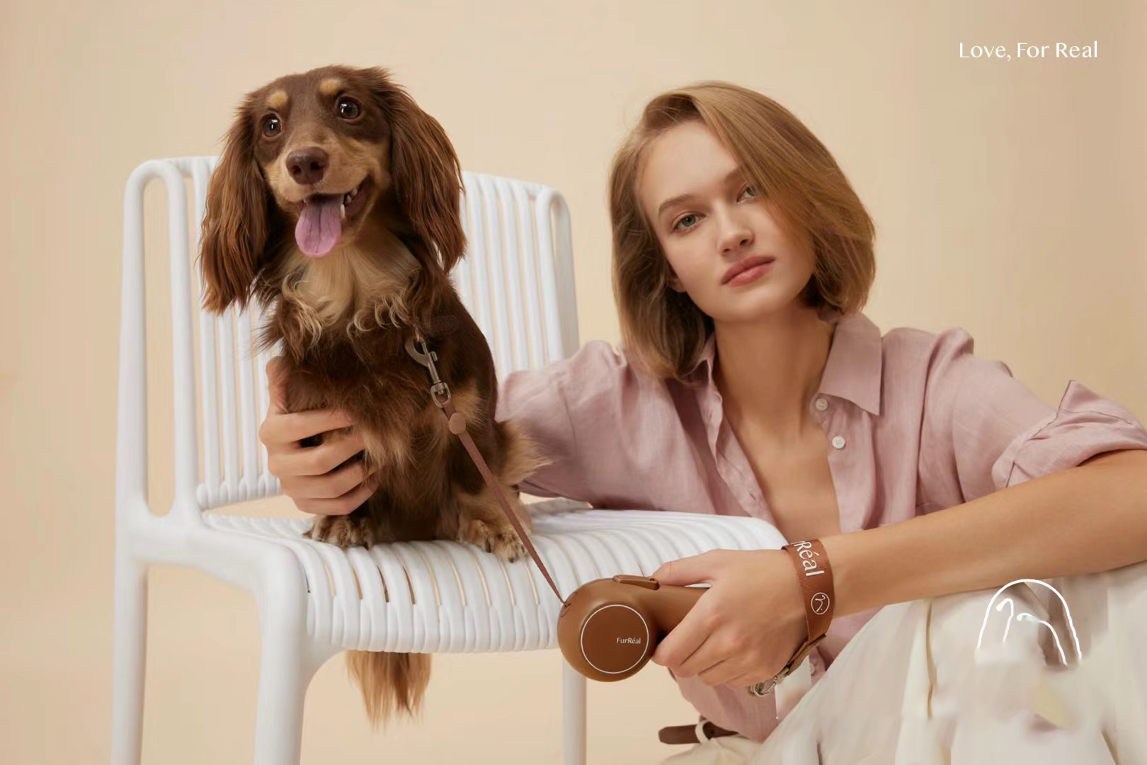 Traction rope，Pet product design，Dog，Pet Supplies & Pet，