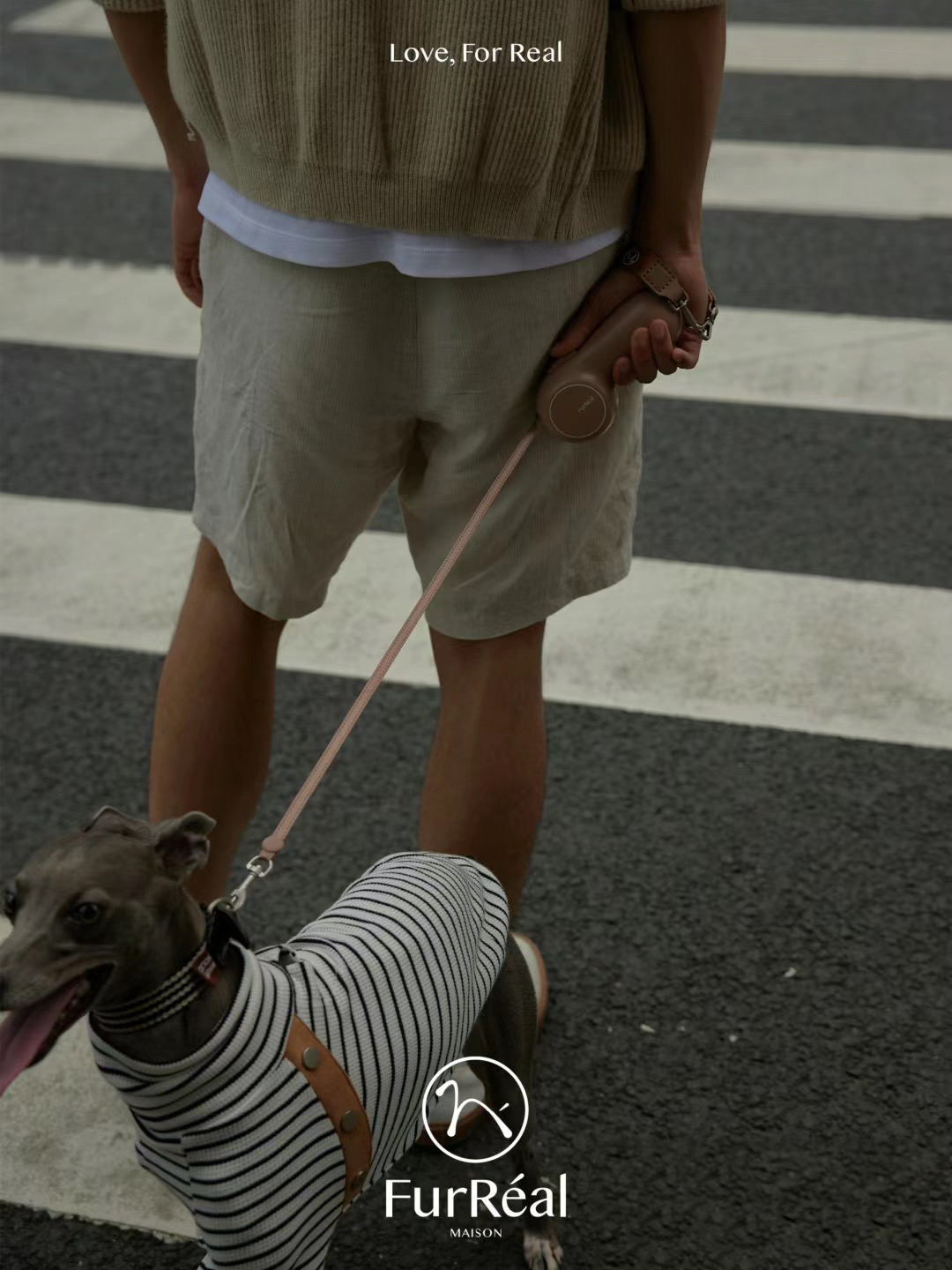 Traction rope，Pet product design，Dog，Pet Supplies & Pet，