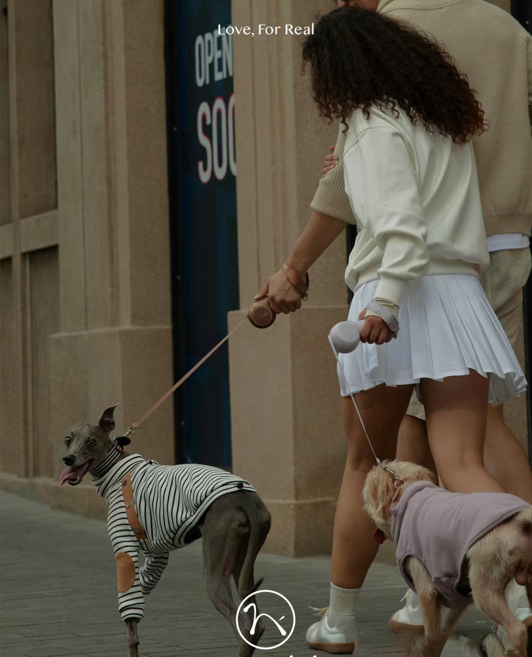 Traction rope，Pet product design，Dog，Pet Supplies & Pet，