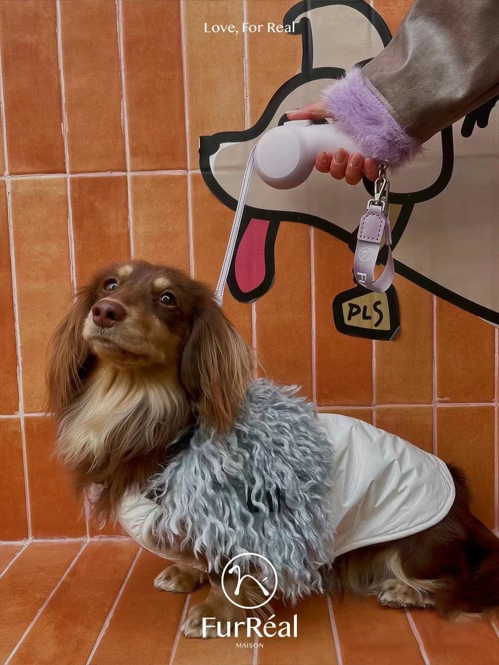 Traction rope，Pet product design，Dog，Pet Supplies & Pet，