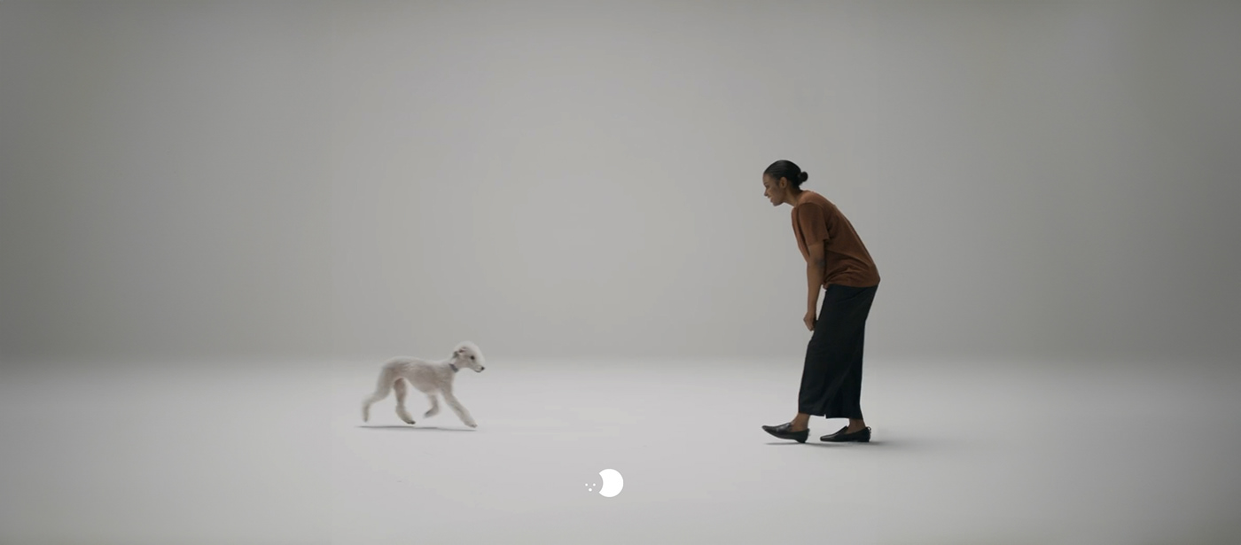 Sense 1 Pro，Digital，intelligence，Pet Supplies & Pet，