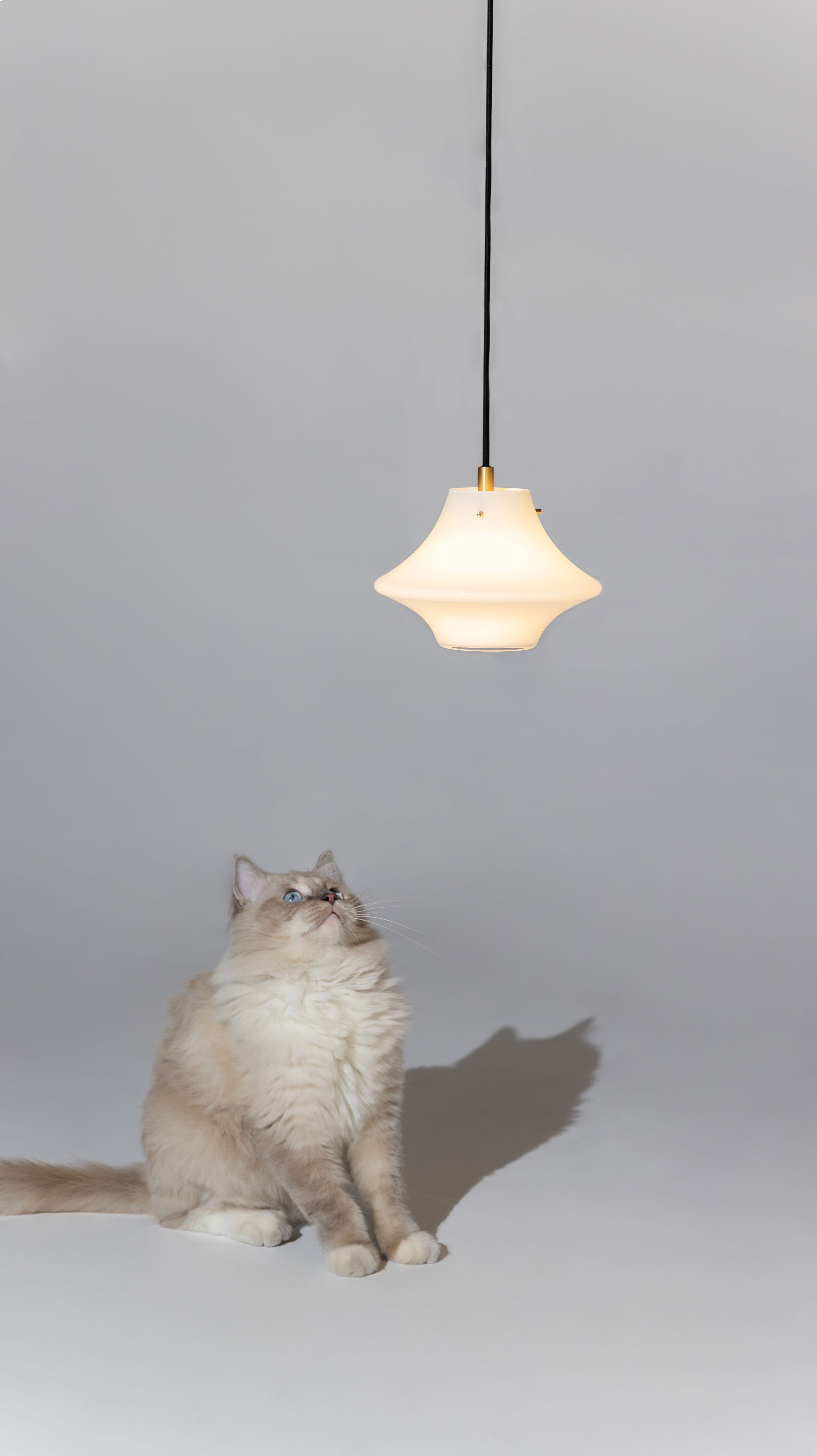 Original design，lamps and lanterns，a chandelier，